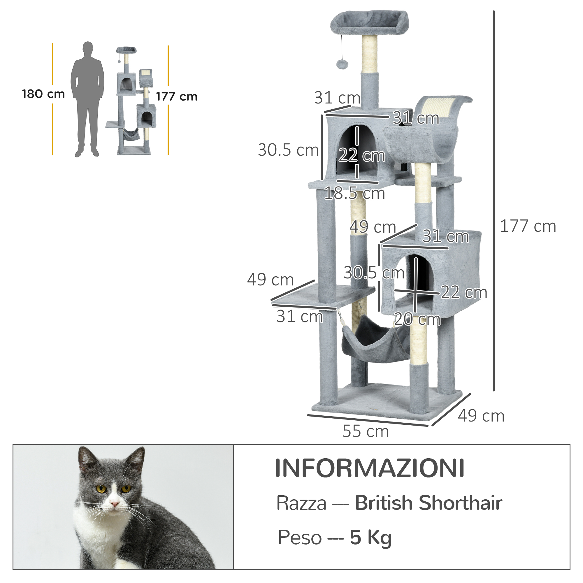 Diagramma di un albero per gatti con dimensioni e informazioni su un gatto British Shorthair.