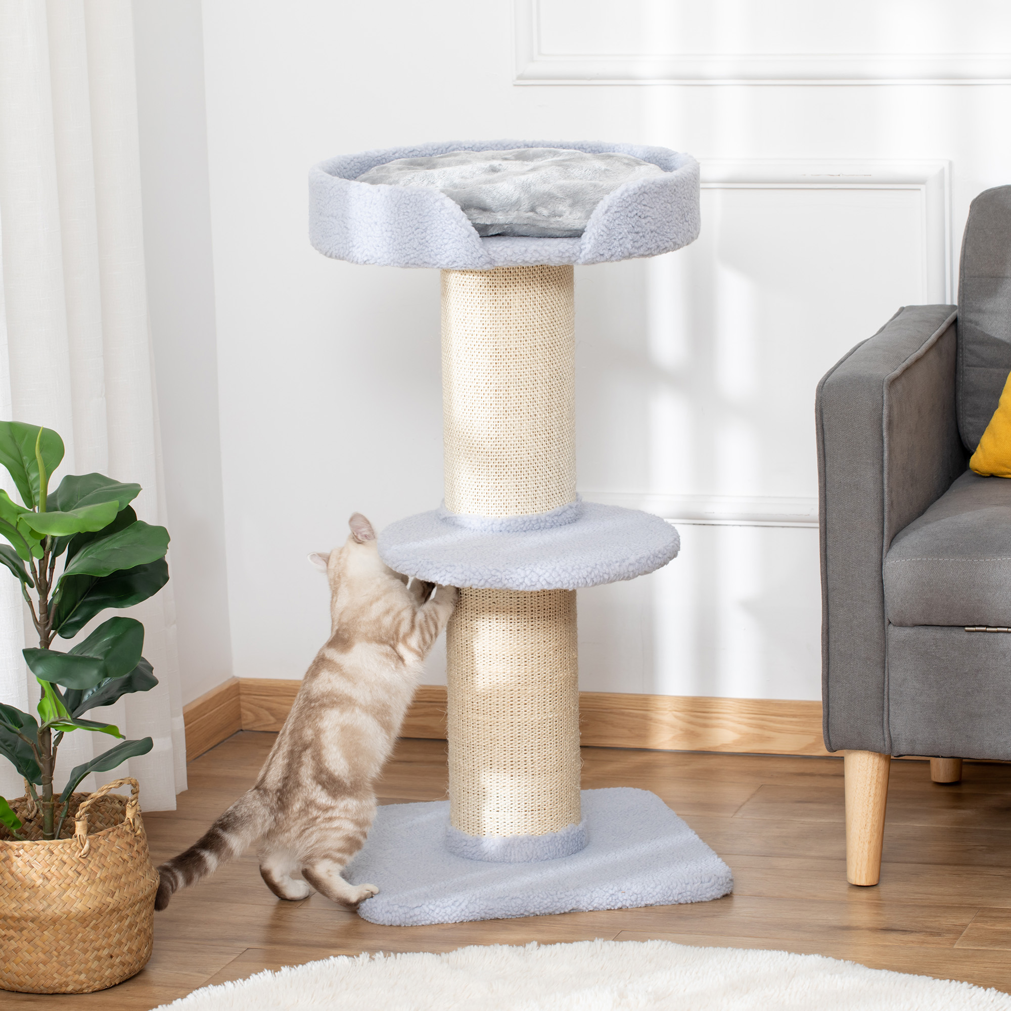 Un gatto, in piedi sulle zampe posteriori, graffia un tiragraffi di colore chiaro. L'albero ha un letto sopra. Un divano grigio è a destra.