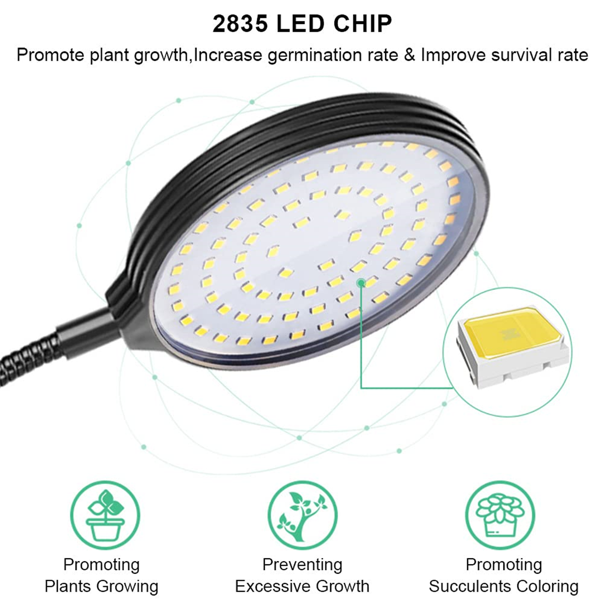 LED-Pflanzenlampe mit flexiblem Hals. Icons zeigen Pflanzenwachstum und Sukkulenten.