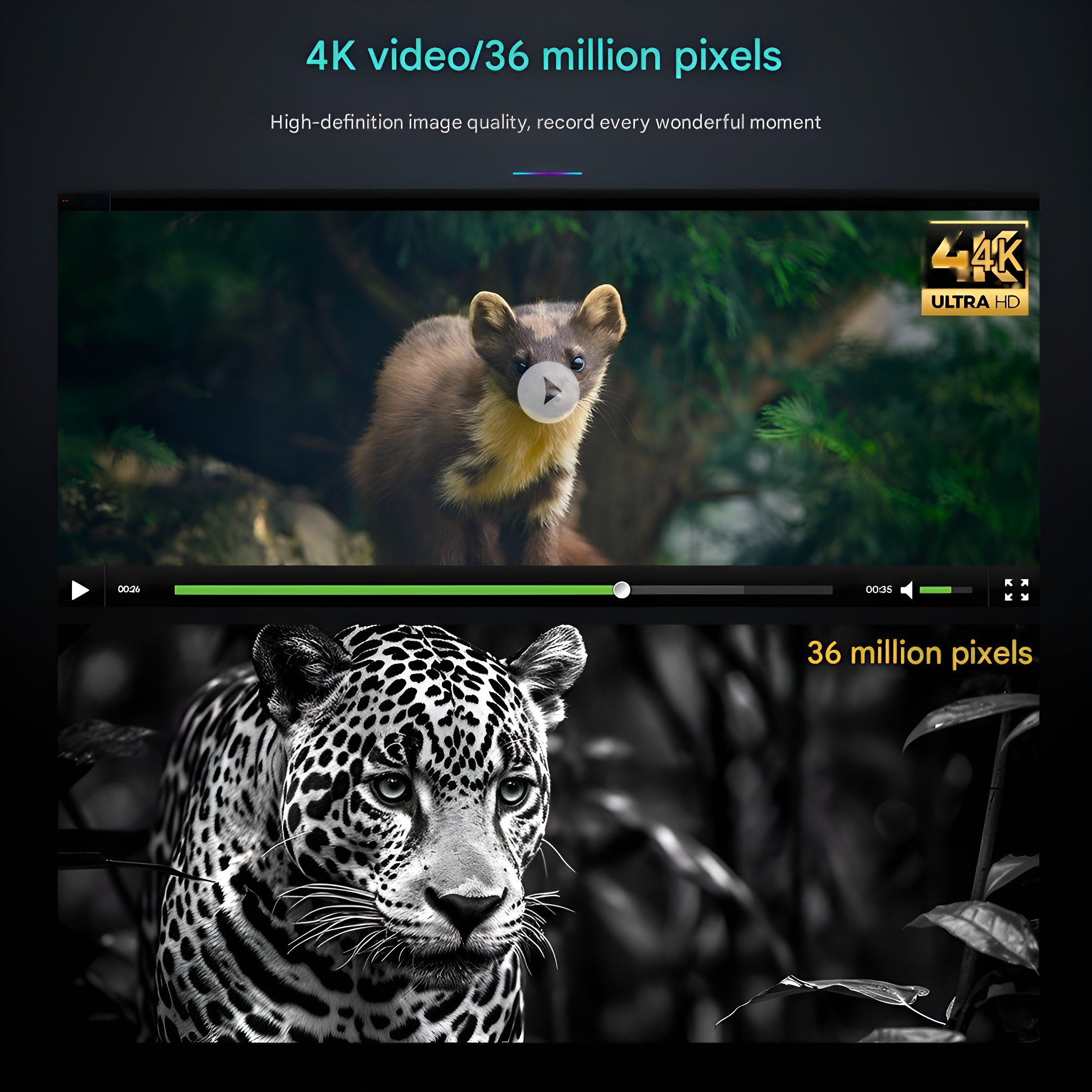 Ein Video und ein Schwarzweißbild eines Jaguars, mit Text über 4K-Video.