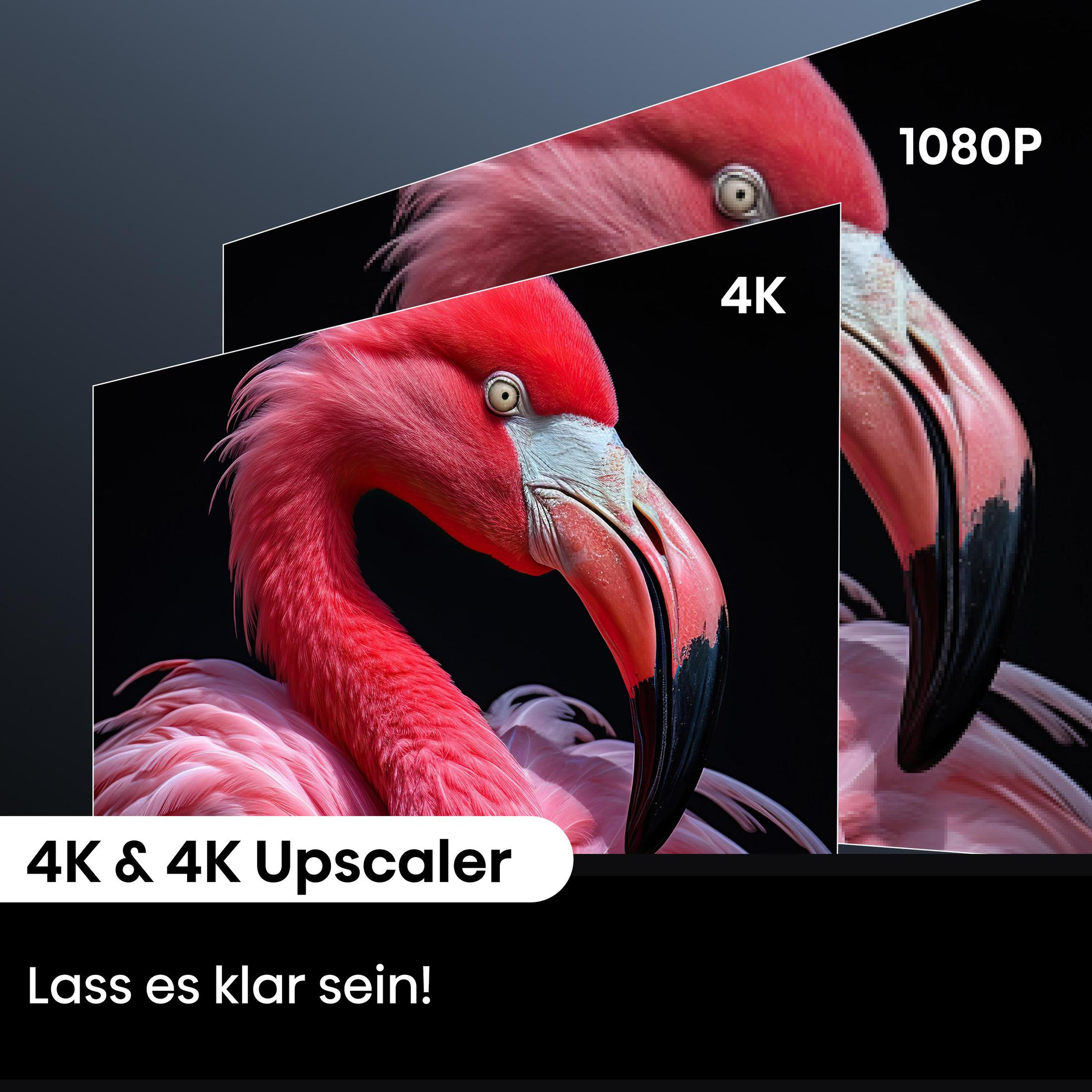 Image avec têtes de flamants roses et texte sur 4K et mise à l'échelle sur fond noir.