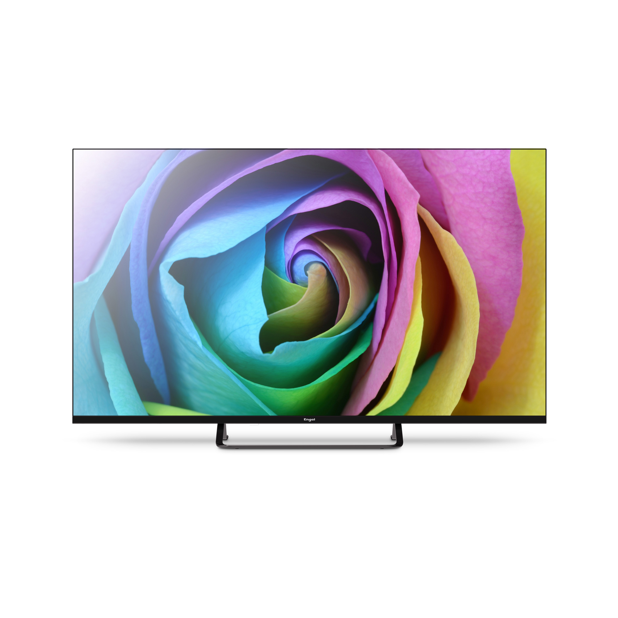 TV de pantalla plana mostrando una rosa colorida. Marco y soporte negros. Colores brillantes.