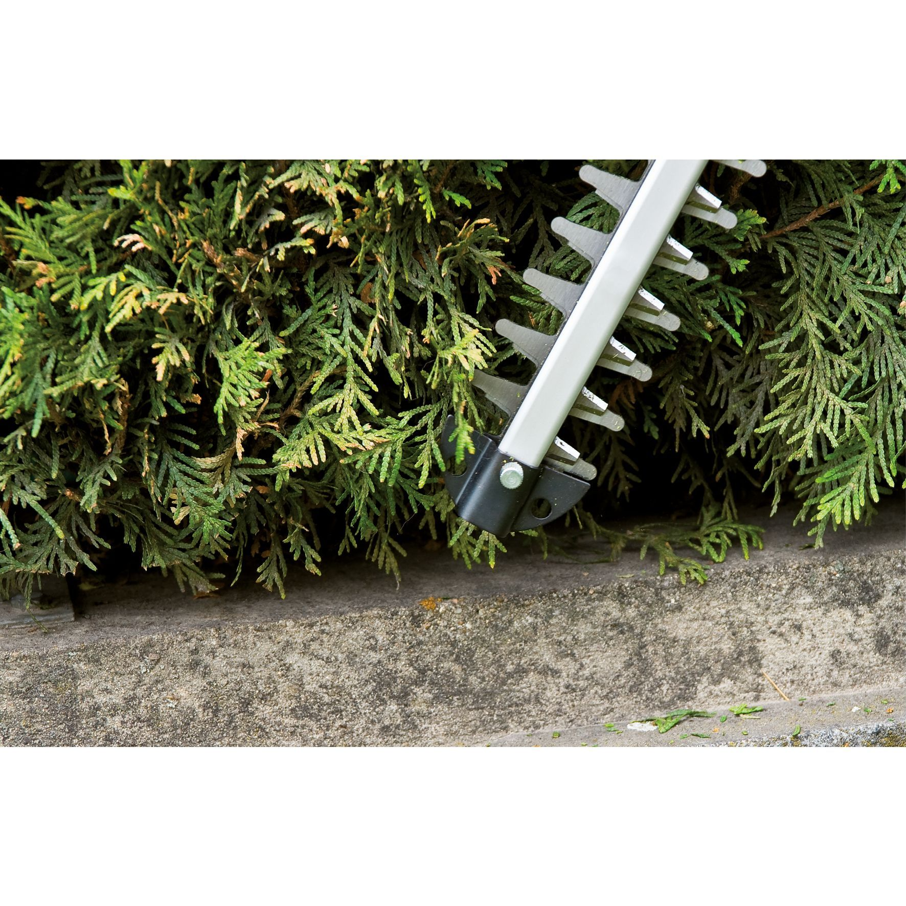 Un taille-haie coupant une haie verte près d'un bord en béton.
