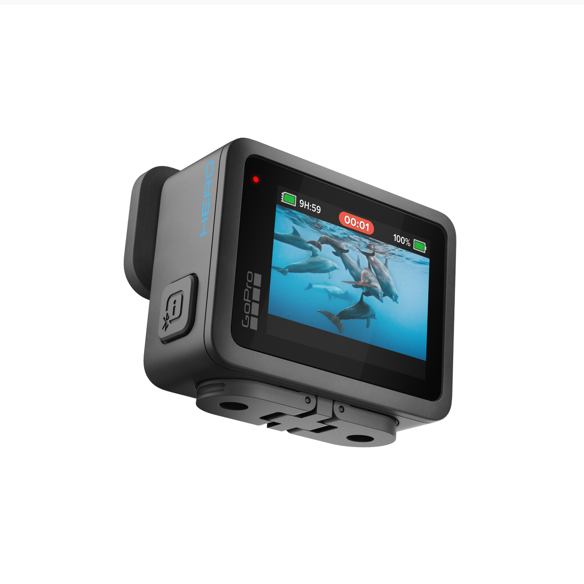 Cámara GoPro Hero mostrando un video de delfines en la pantalla y 100% batería.