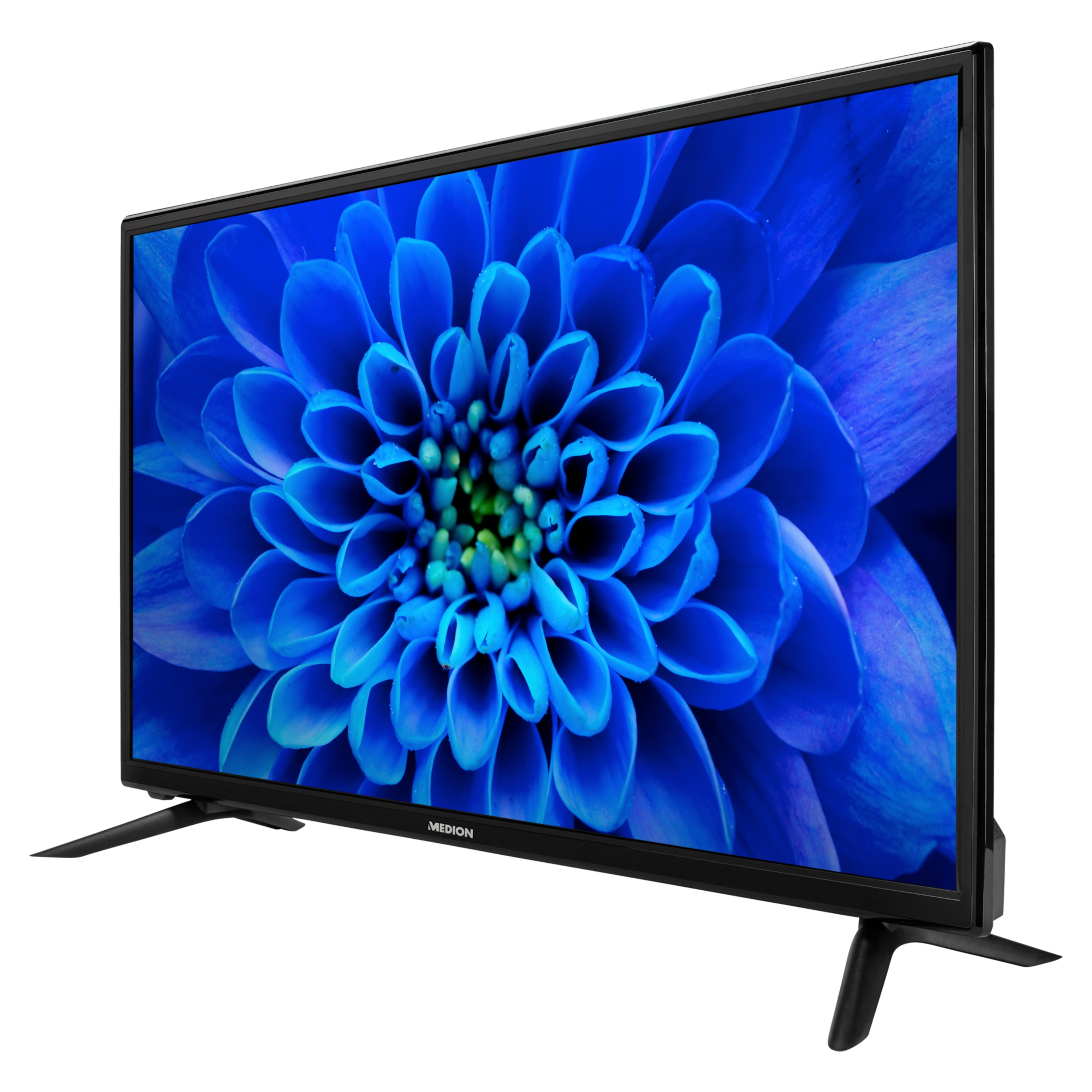 Ekran telewizora wyświetlający niebieski kwiat z czarną ramką i podstawą.