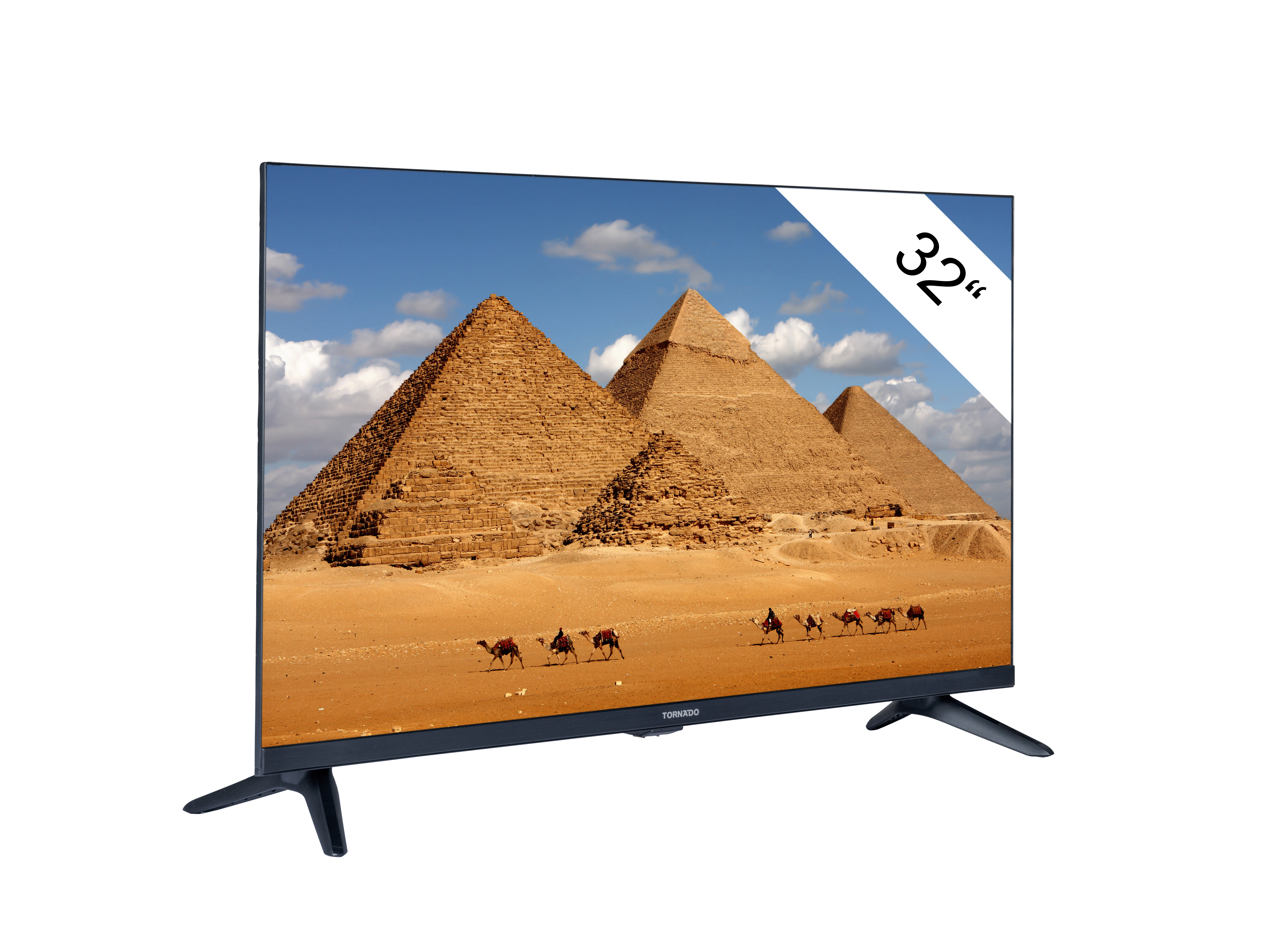 Telewizor wyświetlający zbliżenie niebieskiego kwiatu na czarnym tle.