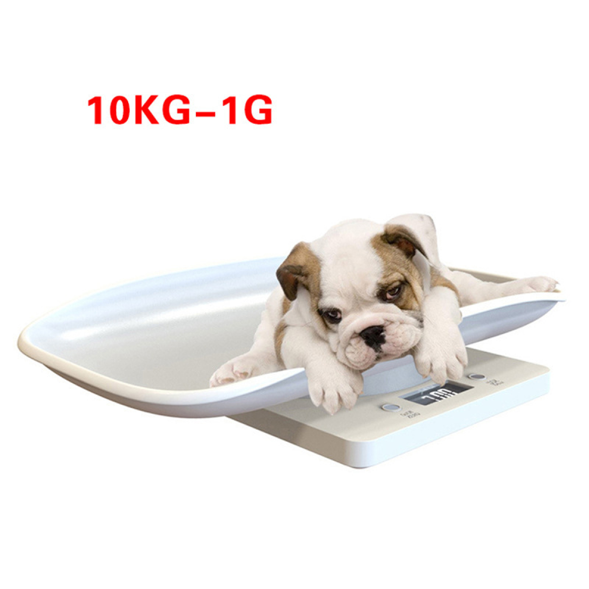 Ein Welpe liegt auf einer weißen Waage. Der rote Text oben lautet: 10KG-1G.