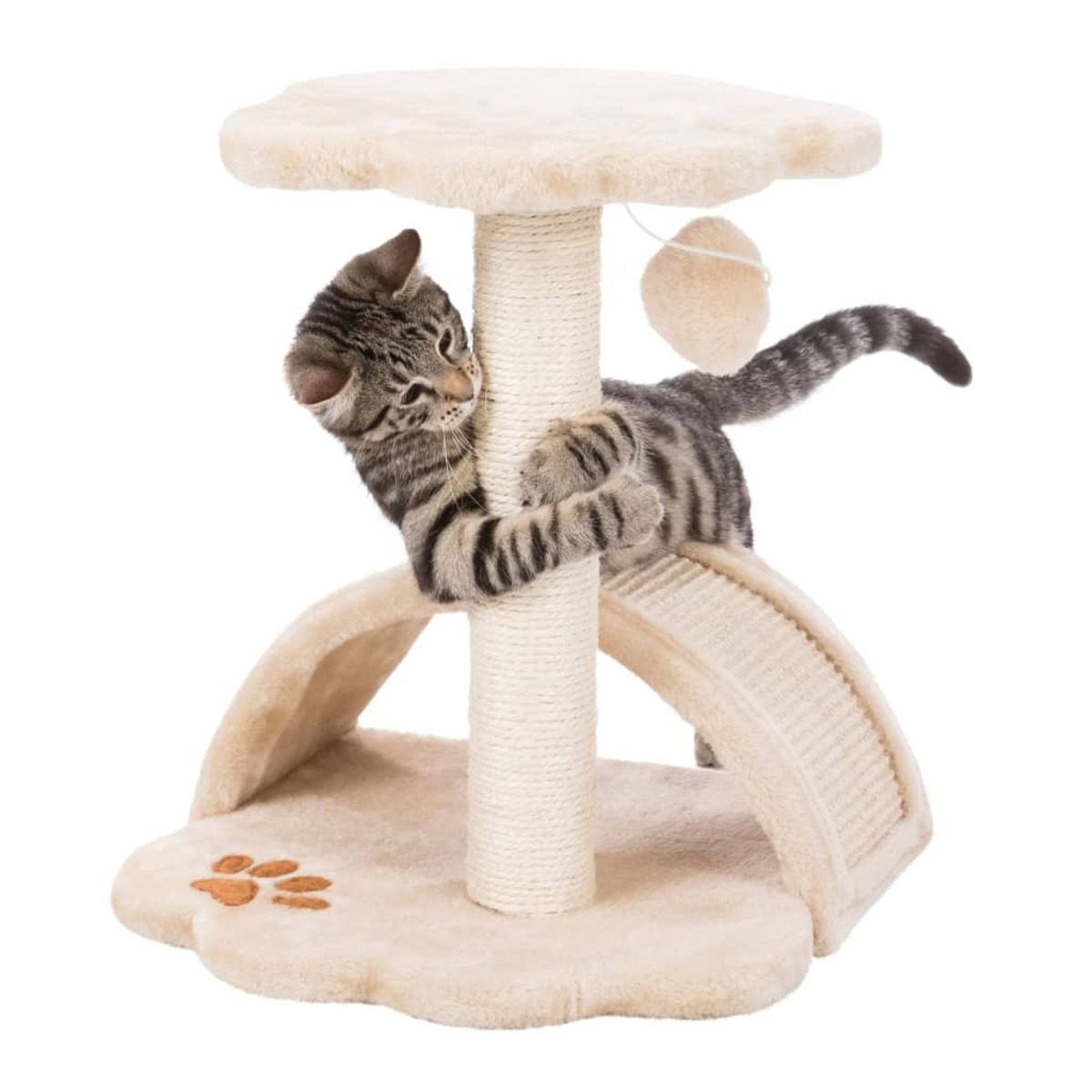 Un gatto che gioca su un albero per gatti con un palo per graffiare.