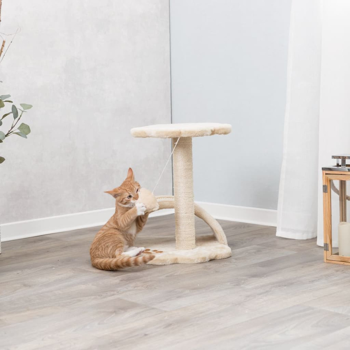 Un gattino gioca con un giocattolo su un albero per gatti, con piattaforma beige.