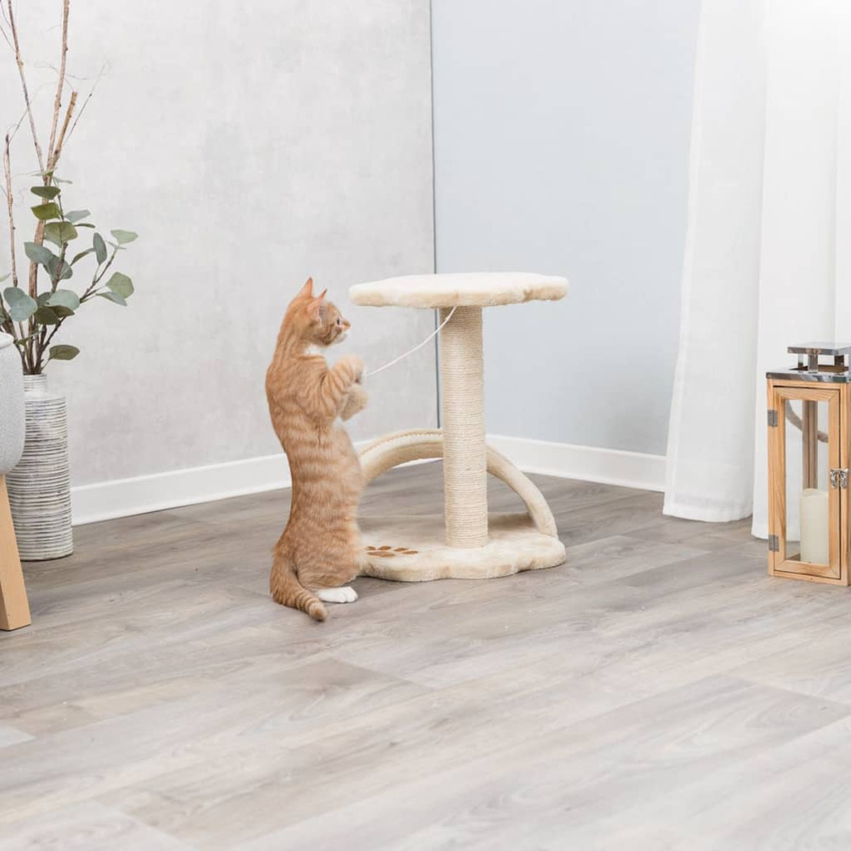 Un gatto arancione in piedi che gioca con un filo vicino a un albero per gatti.