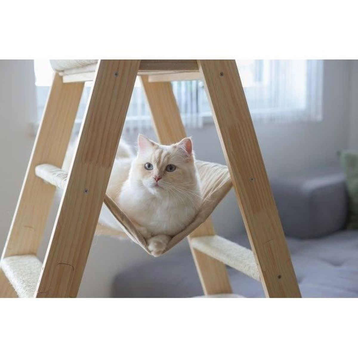 Eine weiße Katze, die sich auf einem bettähnlichen Bett in einer hölzernen Katzenbaumstruktur ausruht.