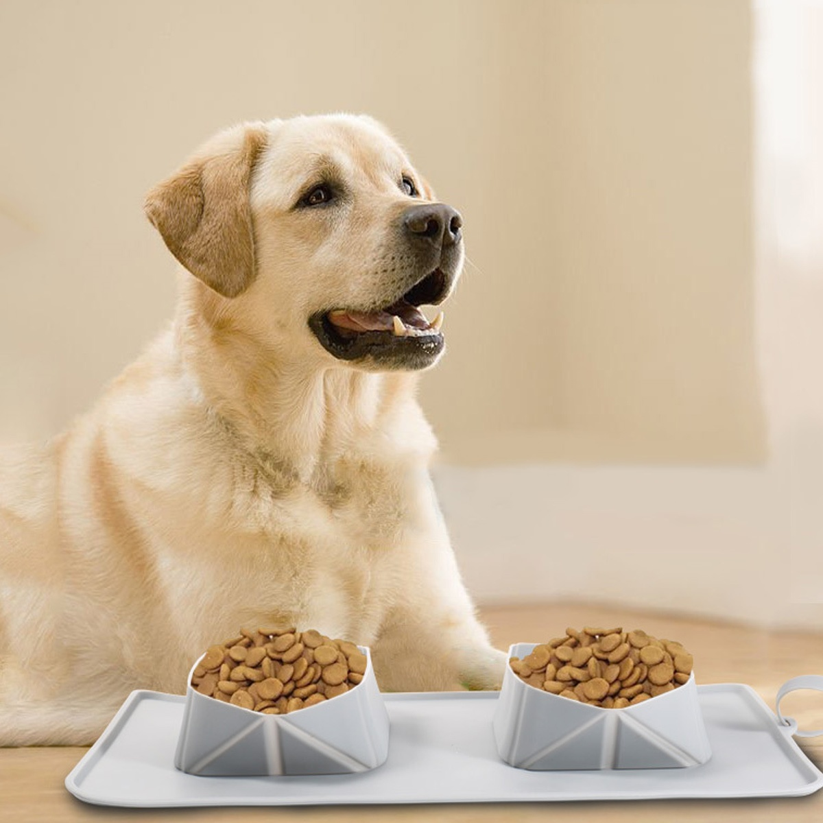 Ein Golden Retriever blickt auf einen hellen Hintergrund. Zwei weiße Schalen mit braunem Futter stehen auf einer Matte.
