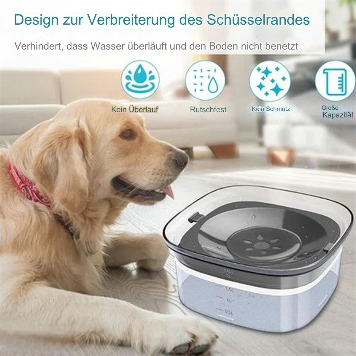 Ein goldener Retriever neben einer durchsichtigen Hundenapf. Text zeigt Funktionen wie kein Überlaufen und große Kapazität.