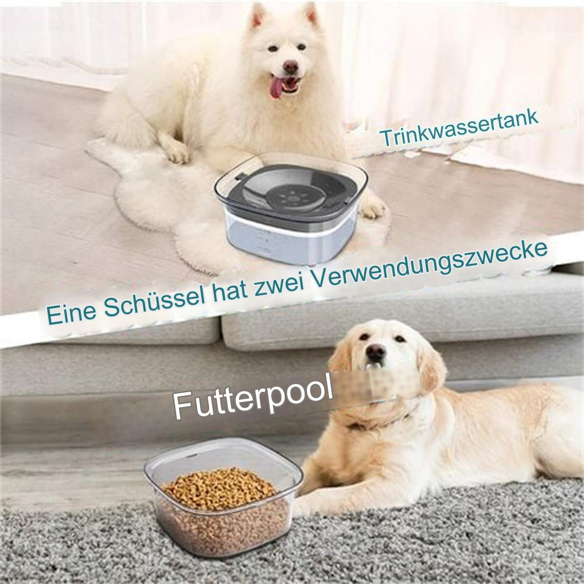 Zwei Hunde in der Nähe von Futter- und Wasserschüsseln. Einer bei Futter, der andere bei Wasser.