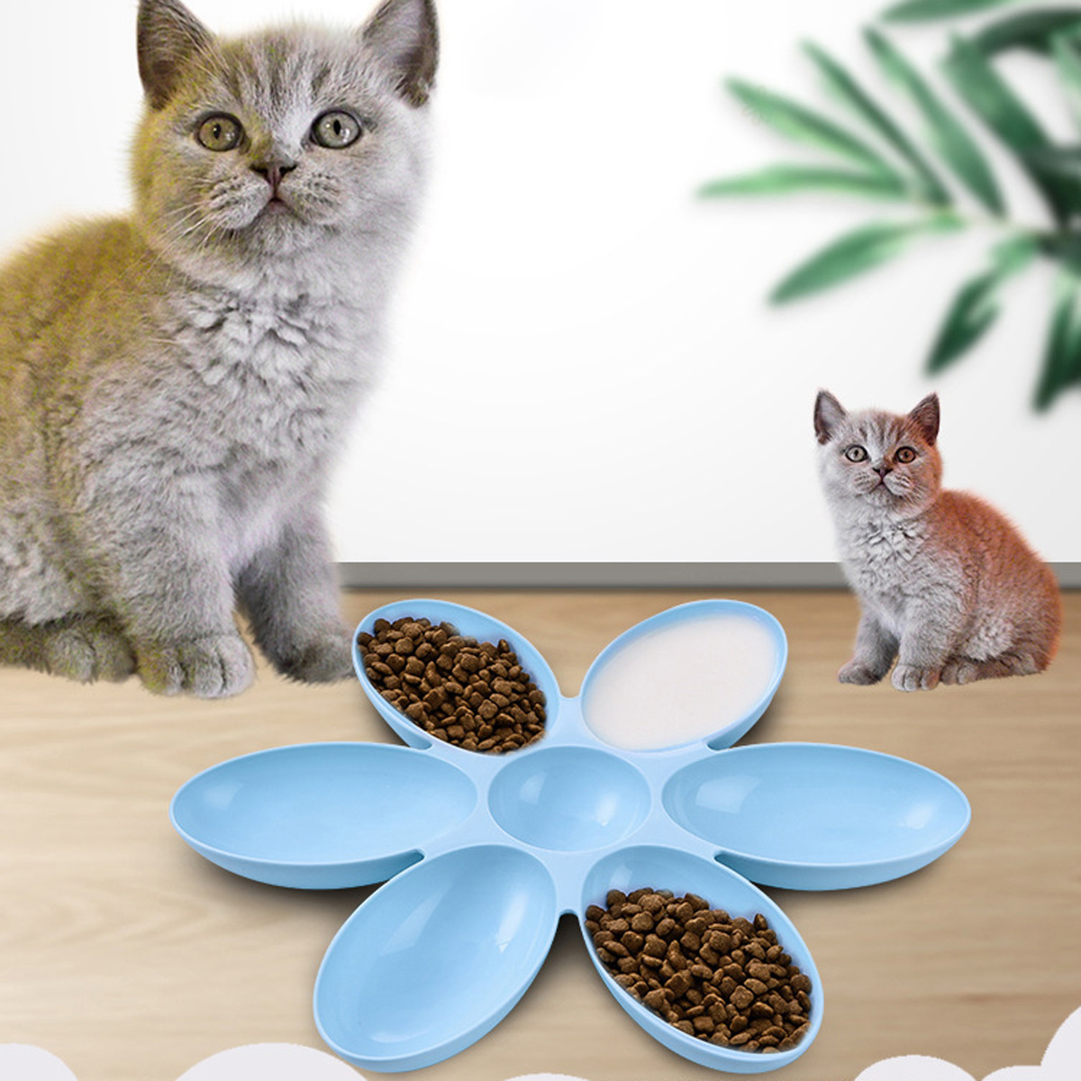 Zwei Kätzchen posieren neben einer blumenförmigen Schale mit Futter und Milch vor einem verschwommenen Hintergrund.