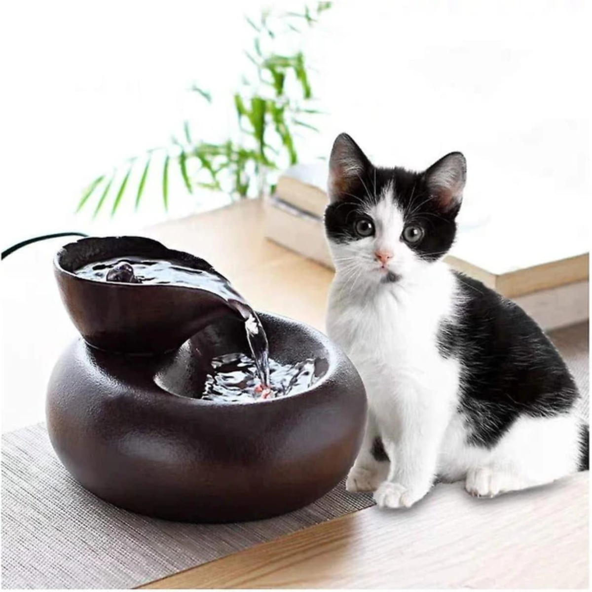 Katze sitzt neben einem Wasserbrunnen. Der Brunnen ist dunkelbraun und hat fließendes Wasser.