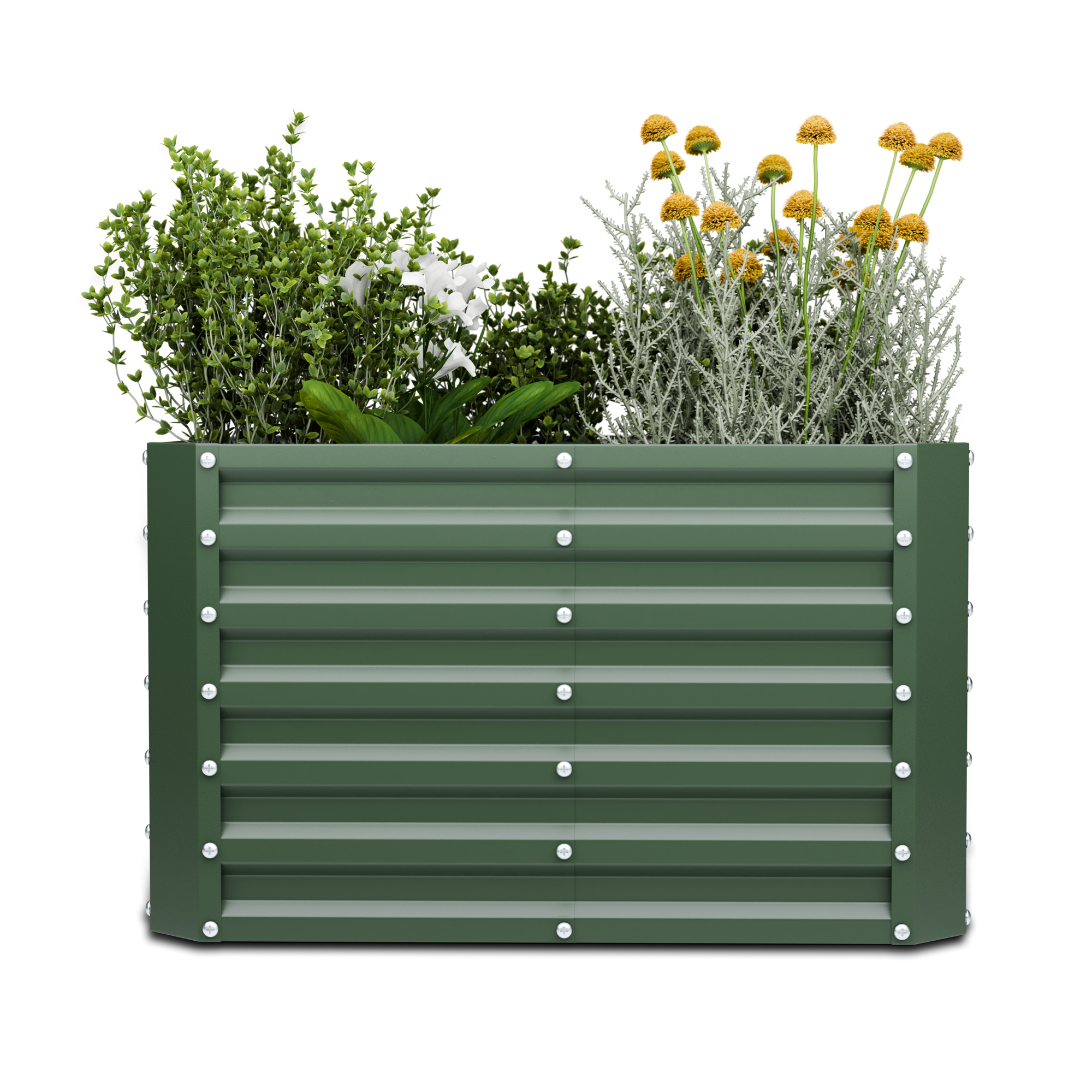 Ein grünes Hochbeet mit Pflanzen und Blumen. Hat eine rechteckige Form.