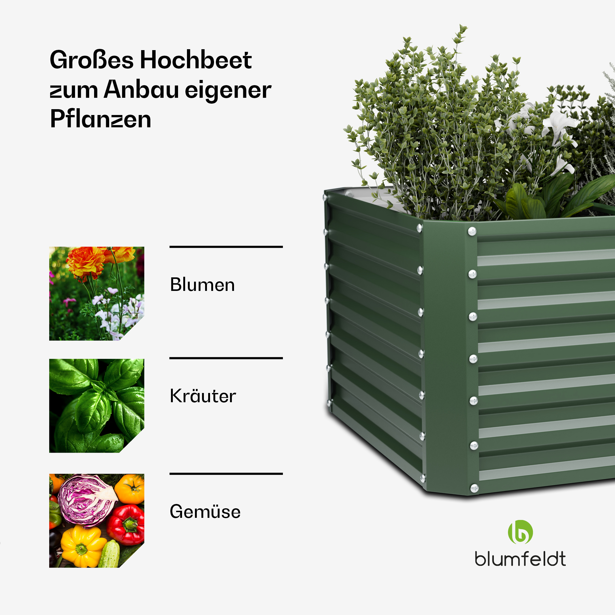 Grünes Hochbeet mit Pflanzen, beschriftet mit Blumen, Kräutern und Gemüse.