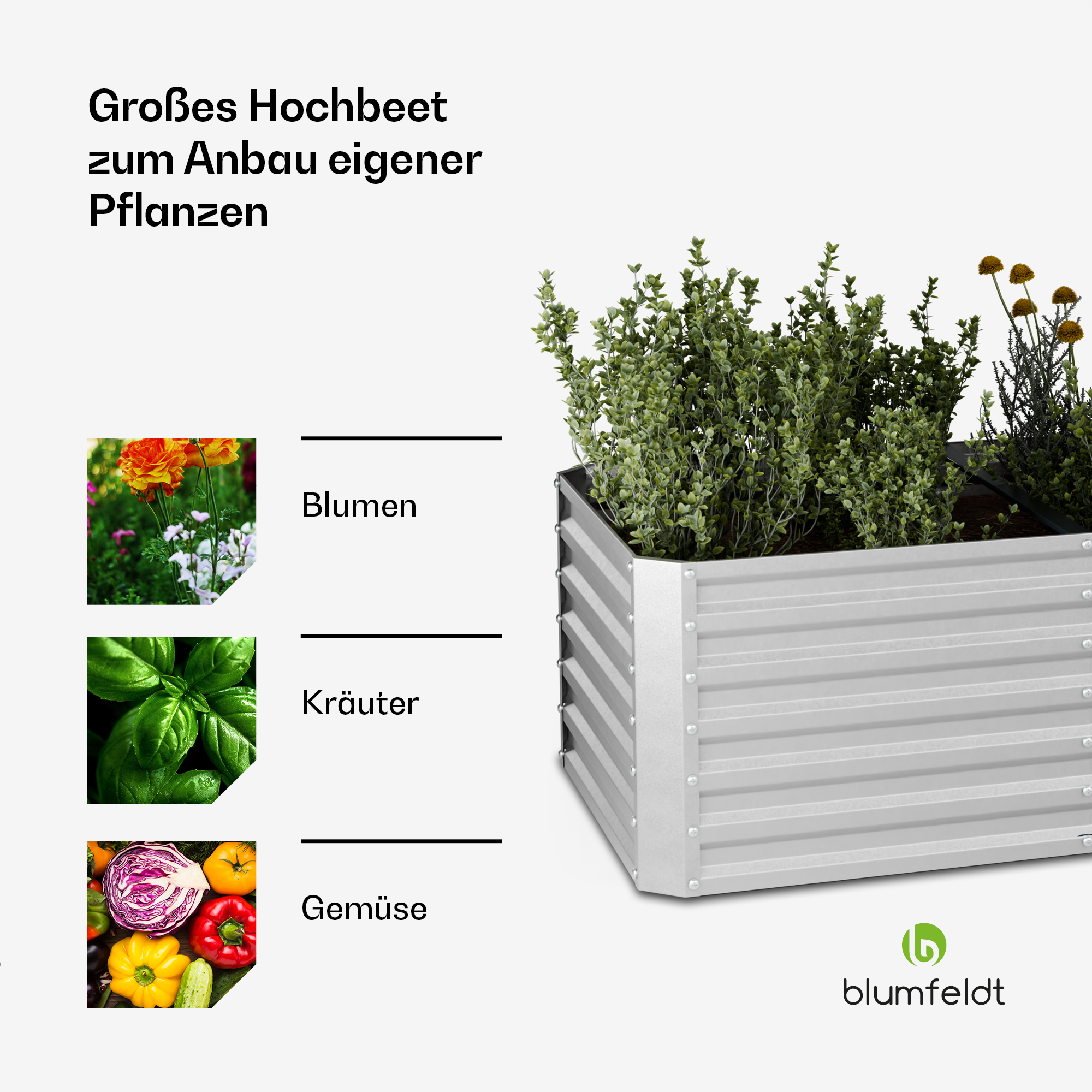 Una cama de jardín elevada con plantas, junto a imágenes de flores, hierbas y verduras.