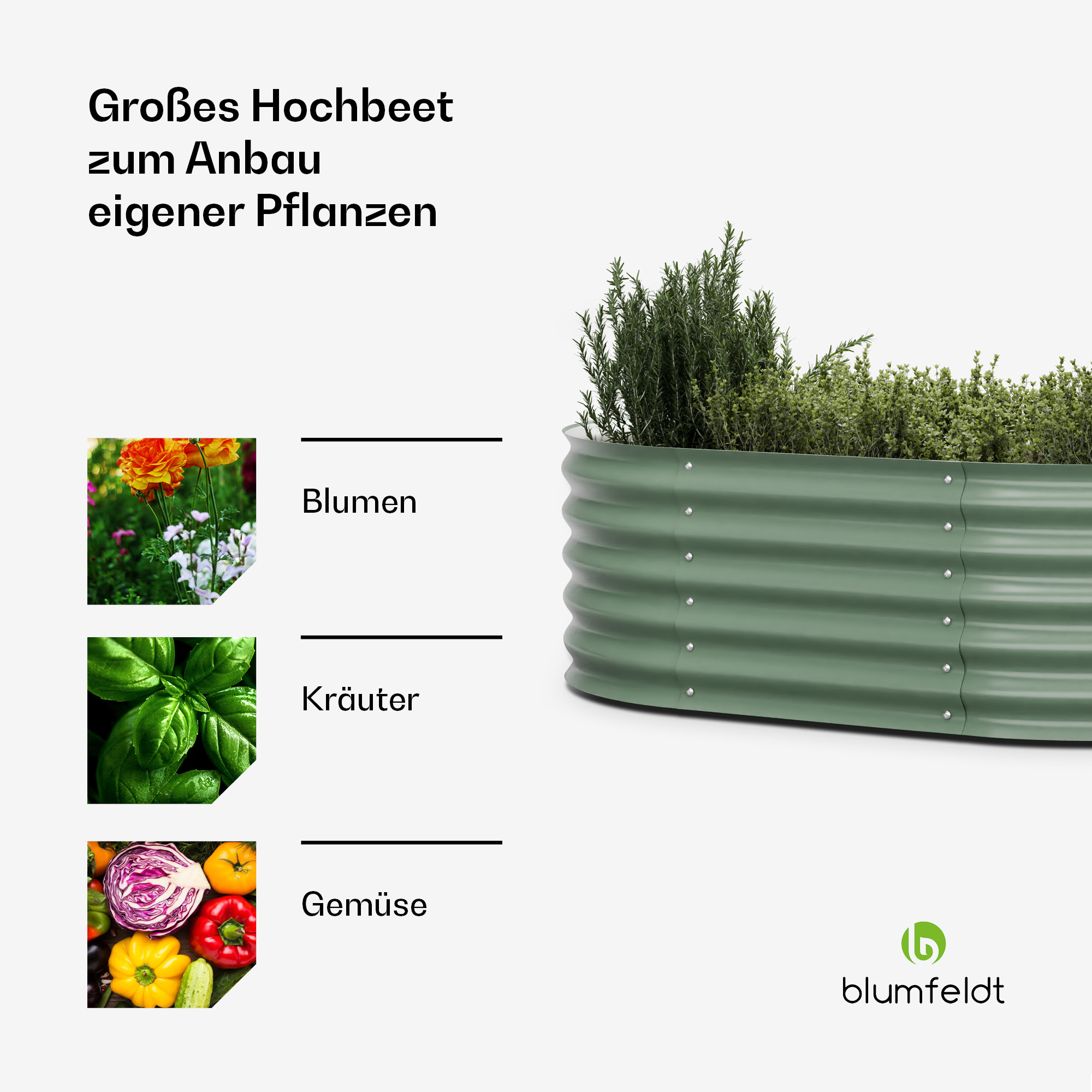 Ein Hochbeet mit Kräutern und Blumen. Nahaufnahmen von Blumen, Kräutern und Gemüse werden gezeigt.