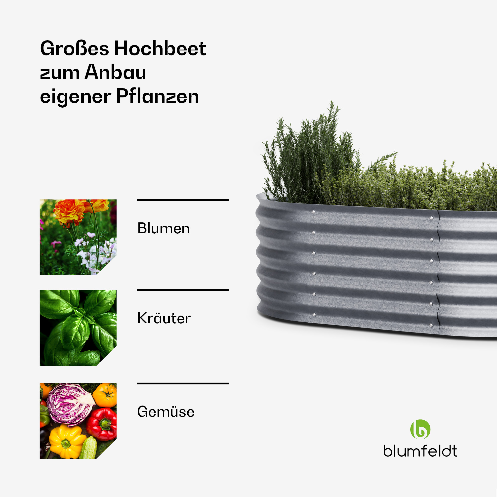 Erhöhtes Gartenbeet aus Metall mit Bildern von Blumen, Kräutern und Gemüse. Text: bauen Sie Ihre eigenen Pflanzen an.