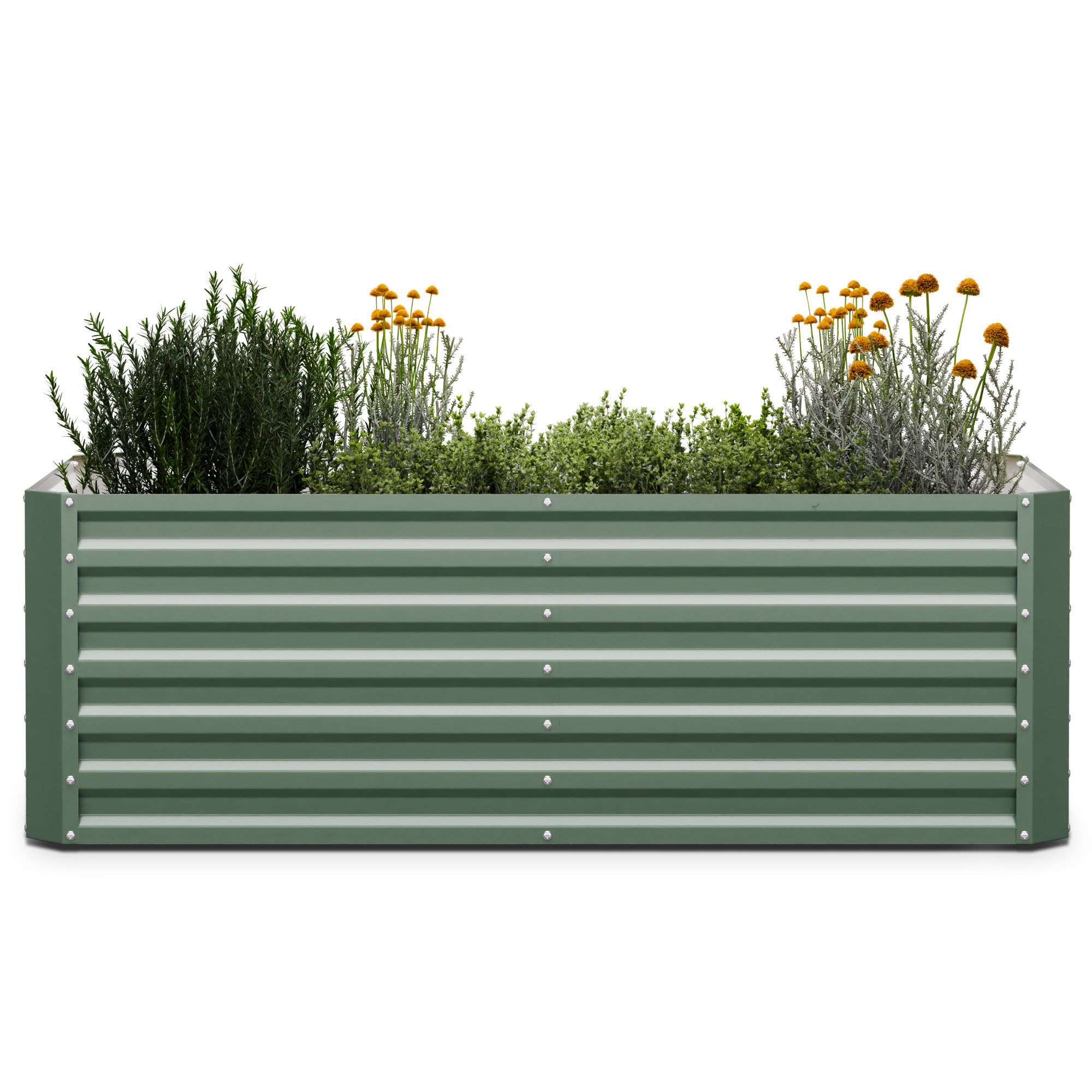 Grünes Metall-Gartenbeet mit Pflanzen und Blumen gefüllt.