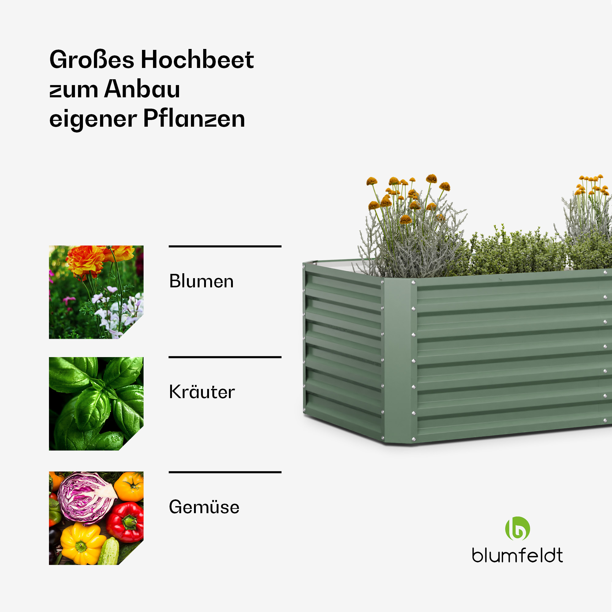 Ein grünes Hochbeet mit Blumen, Kräutern und Gemüse. Text beschriftet die Pflanzen: Blumen, Kräuter, Gemüse.