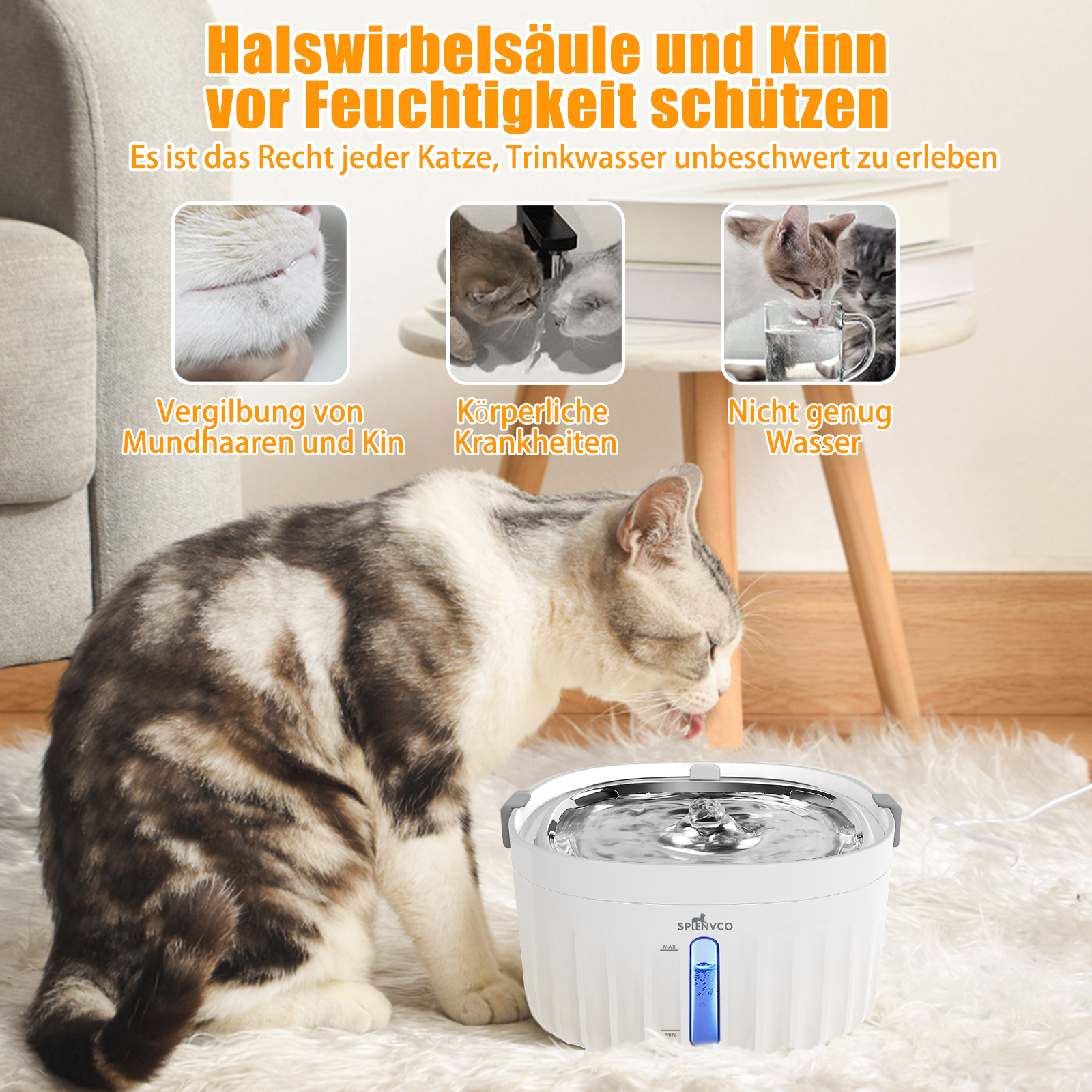 Katze trinkt aus weißem Wasserbrunnen. Text über Katzengesundheit und Flüssigkeitszufuhr.
