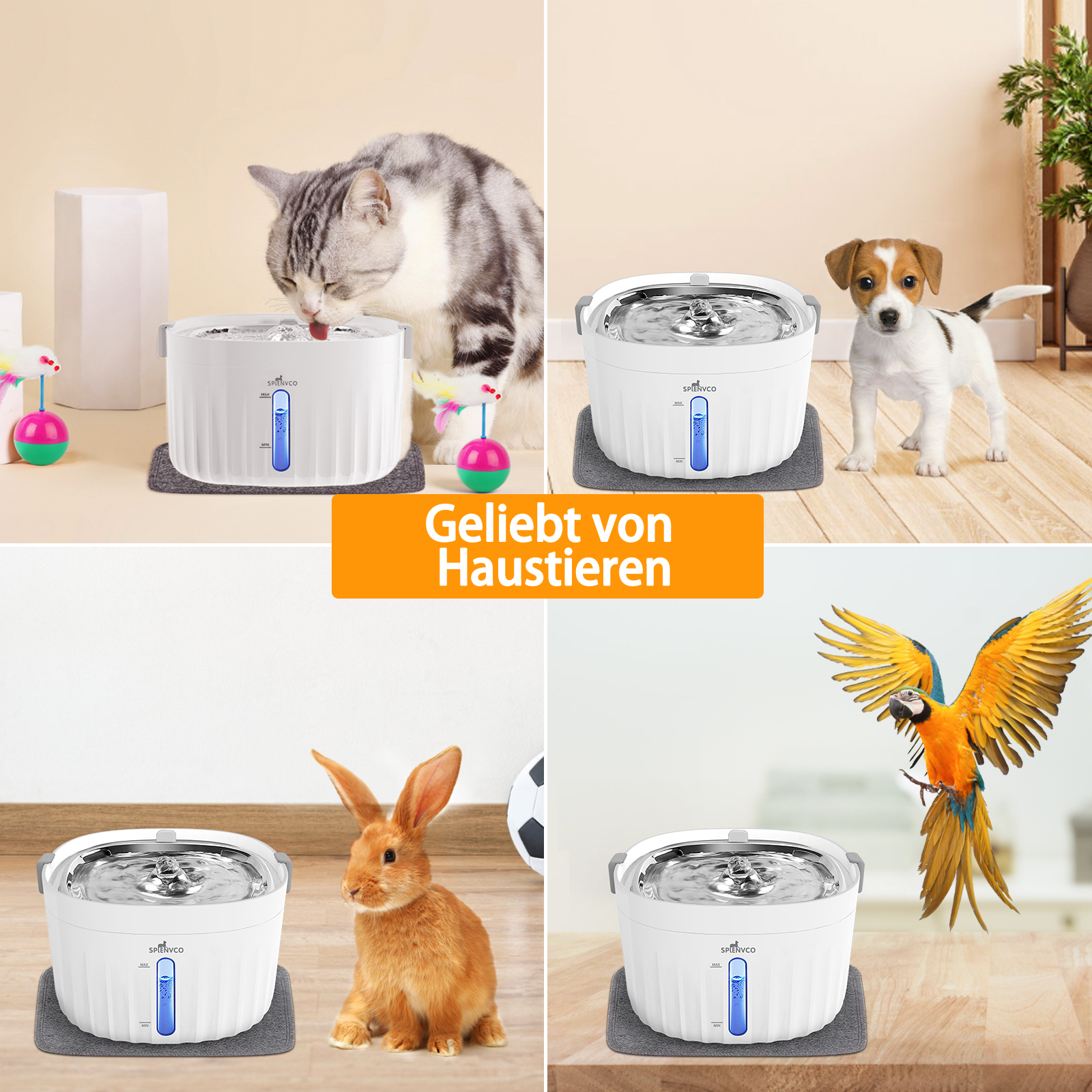 Haustiere, die einen Wasserbrunnen benutzen. Eine Katze, ein Hund, ein Kaninchen und ein Papagei sind zu sehen.