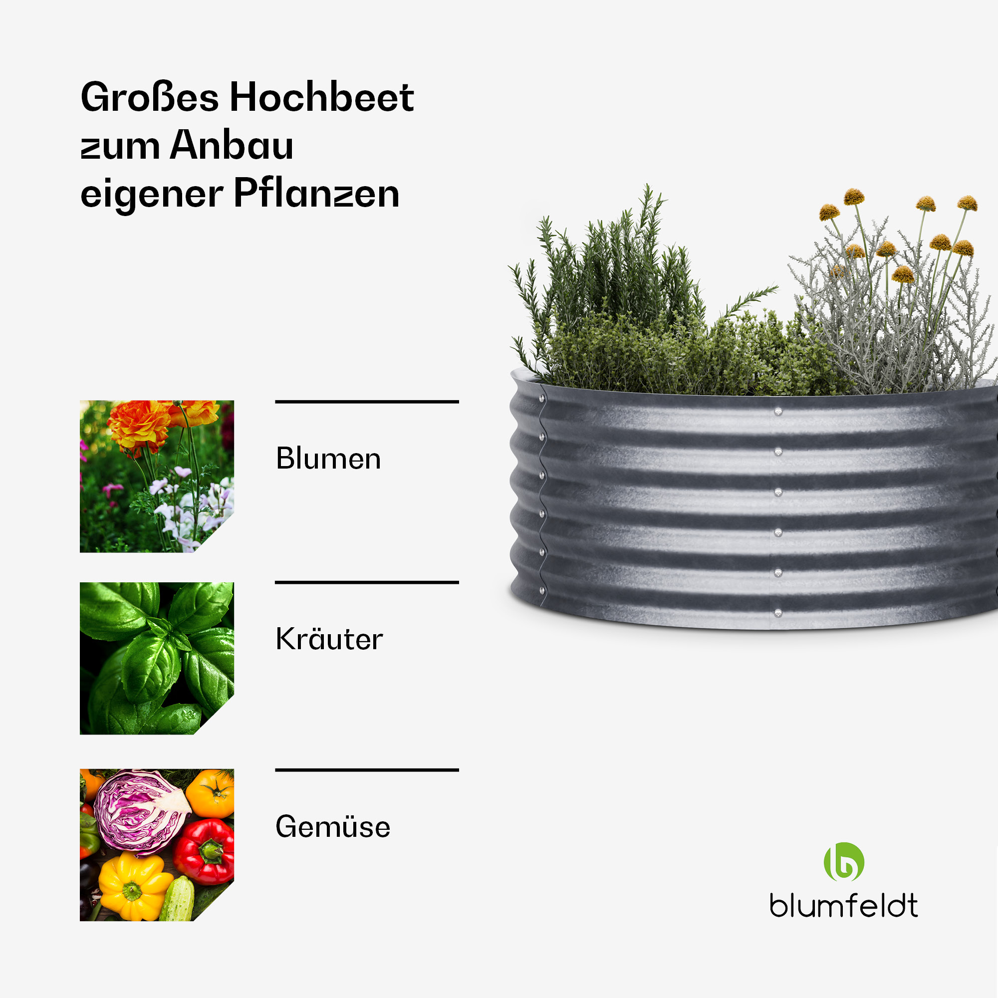 Hochbeet mit Pflanzen, darunter Blumen, Kräuter und Gemüse. Text kennzeichnet diese Kategorien.