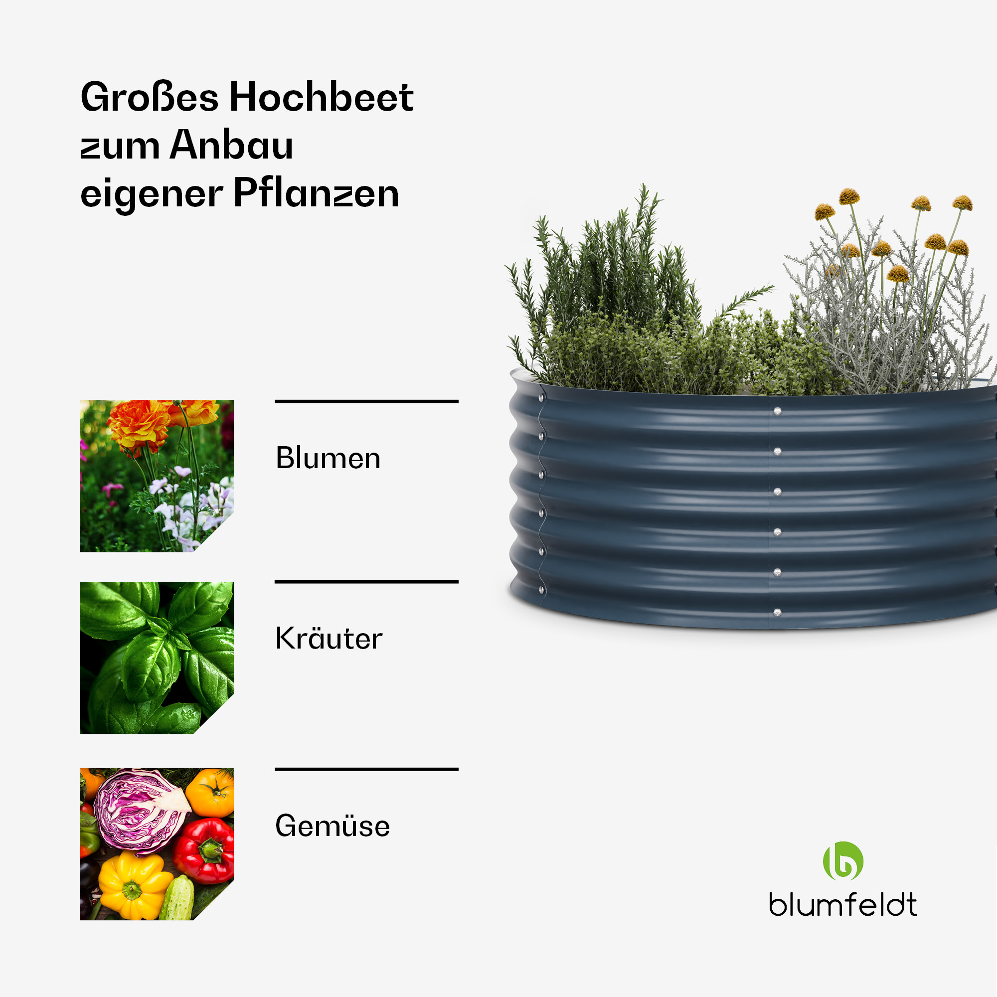 Ein Hochbeet mit Blumen, Kräutern und Gemüse, mit 'Blumfeldt'-Logo.