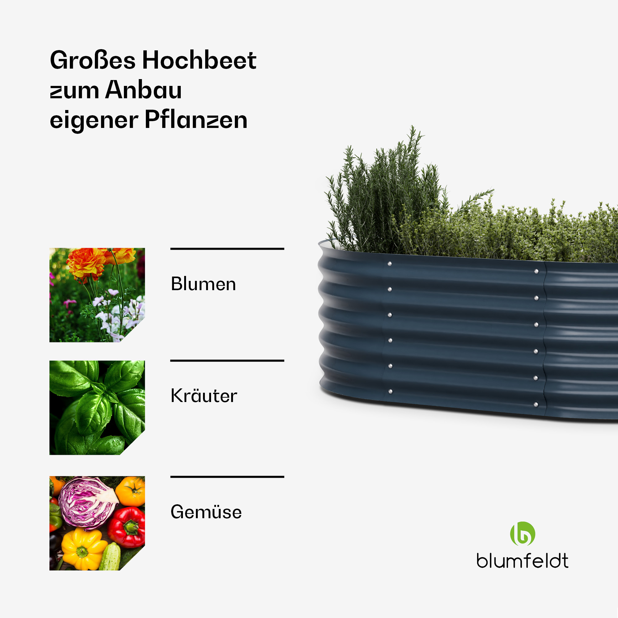 Ein blaues Hochbeet mit Text und Bildern über Blumen, Kräuter und Gemüse.