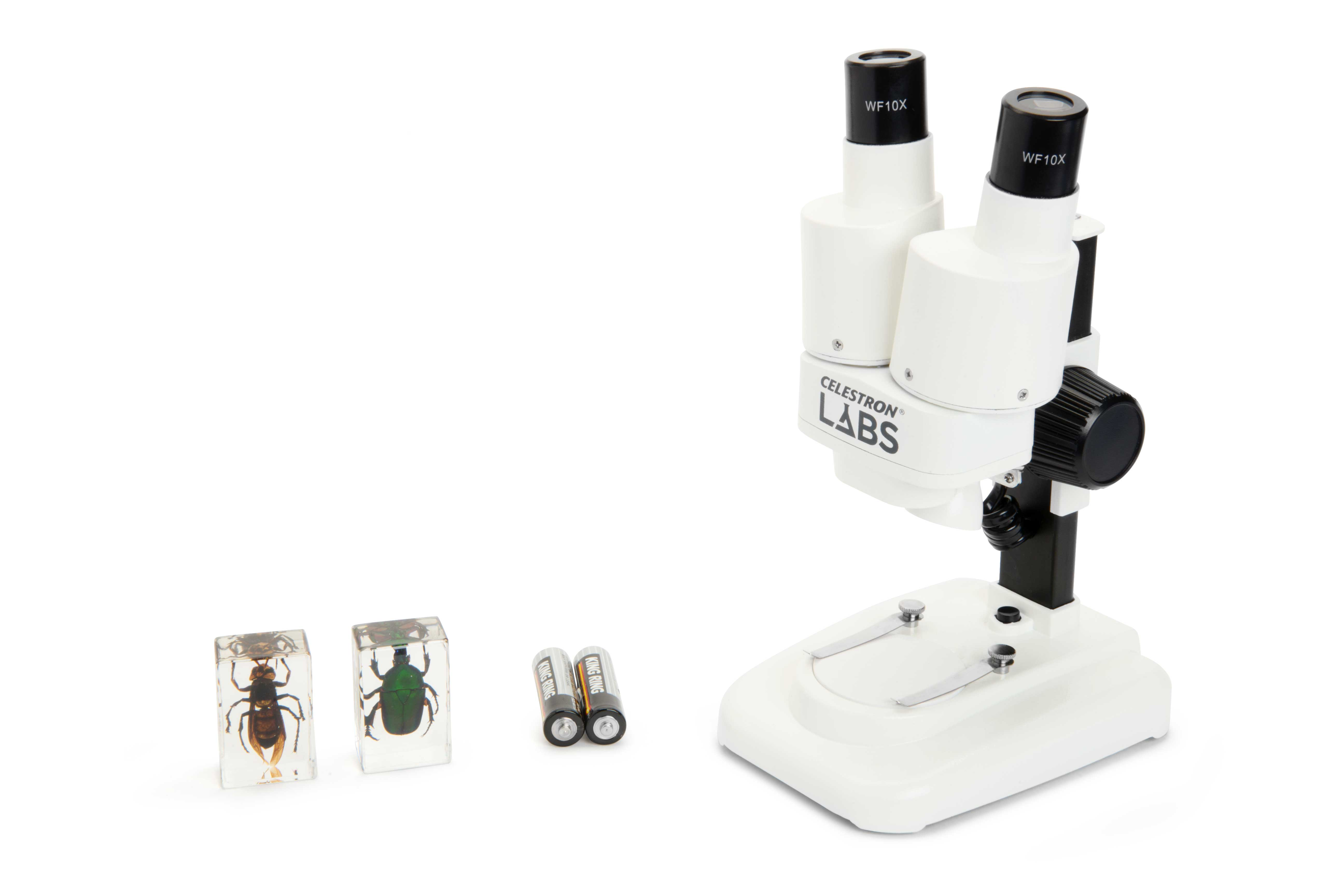 Ein Stereomikroskop mit zwei Probenblöcken mit Insekten und zwei Batterien.