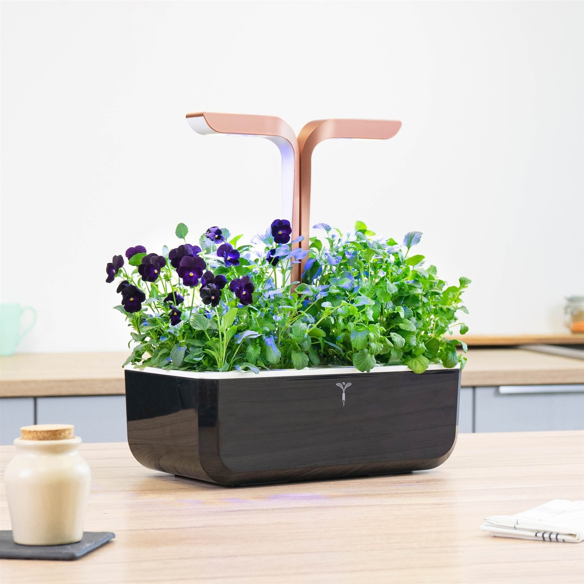 Indoor-Garten mit Pflanzen, lila Blumen und einer Leuchte darüber.