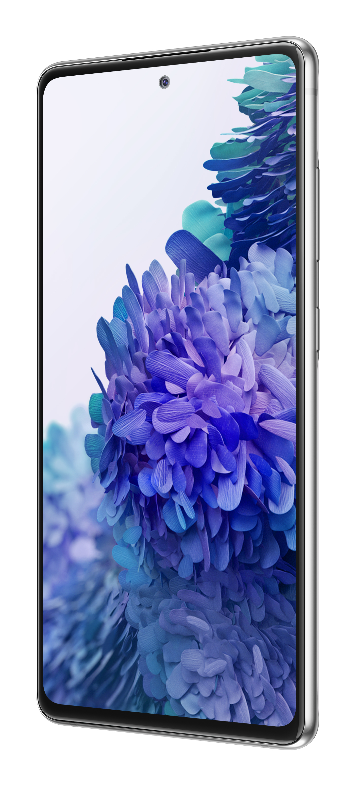 Srebrny telefon, z dużym ekranem pokazującym niebieski i fioletowy kwiat.