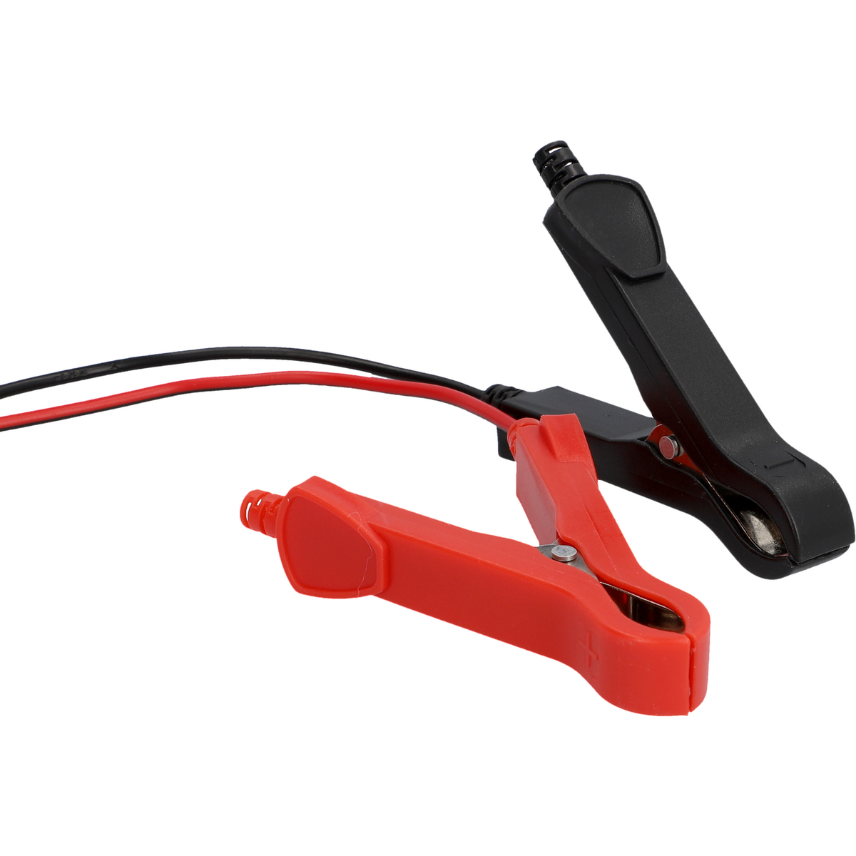Rote und schwarze Überbrückungskabel, rote und schwarze Klemmen, auf weißem Untergrund.