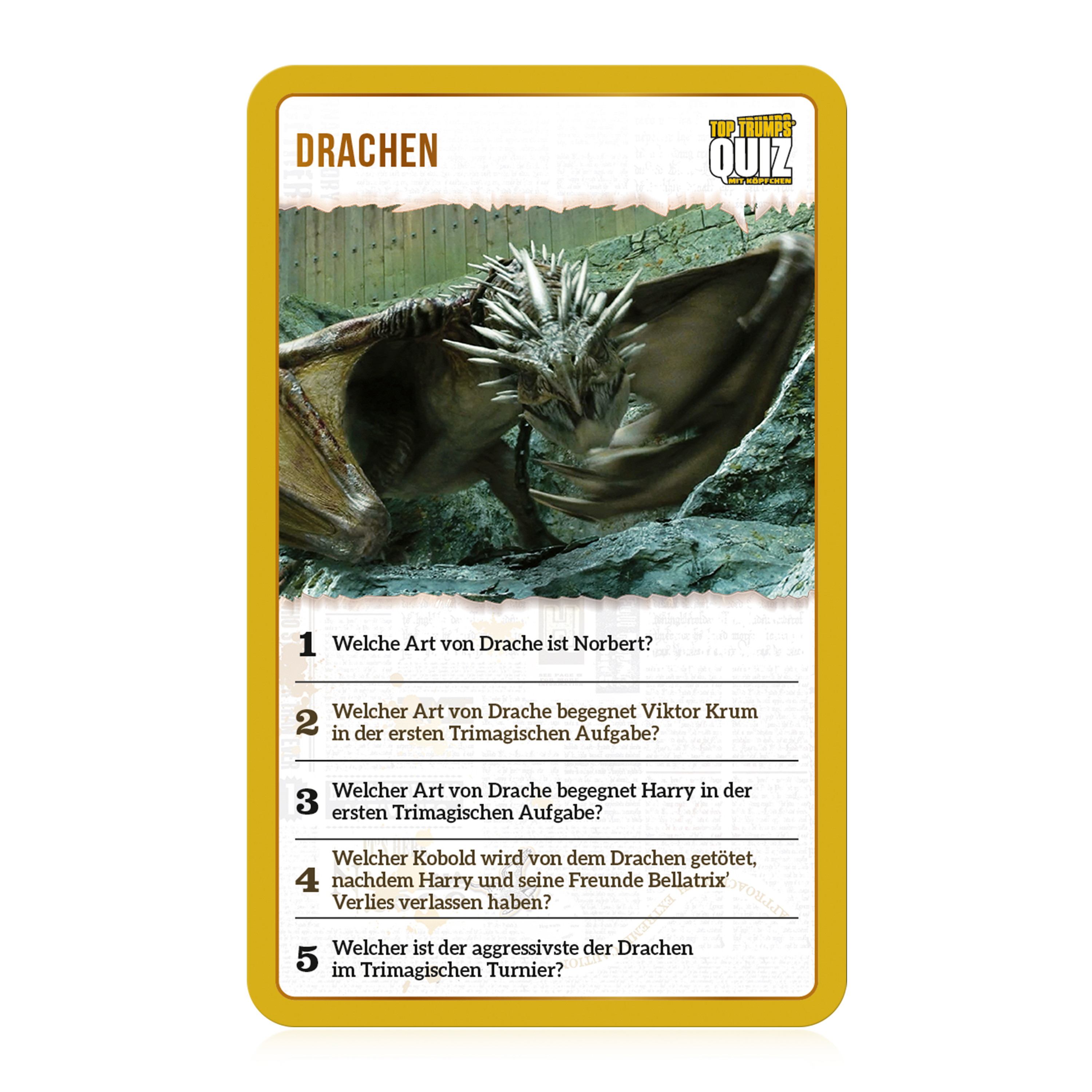 Carte de quiz avec une image de dragon et des questions sur les dragons. Cadre jaune.