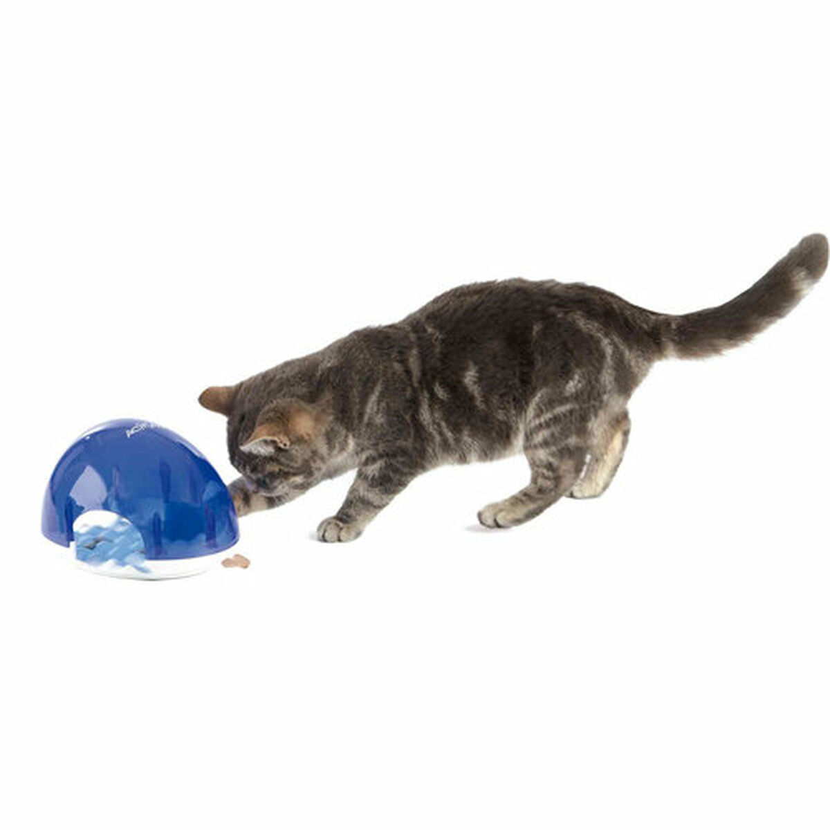 Gatto che gioca con un giocattolo blu che distribuisce premi.