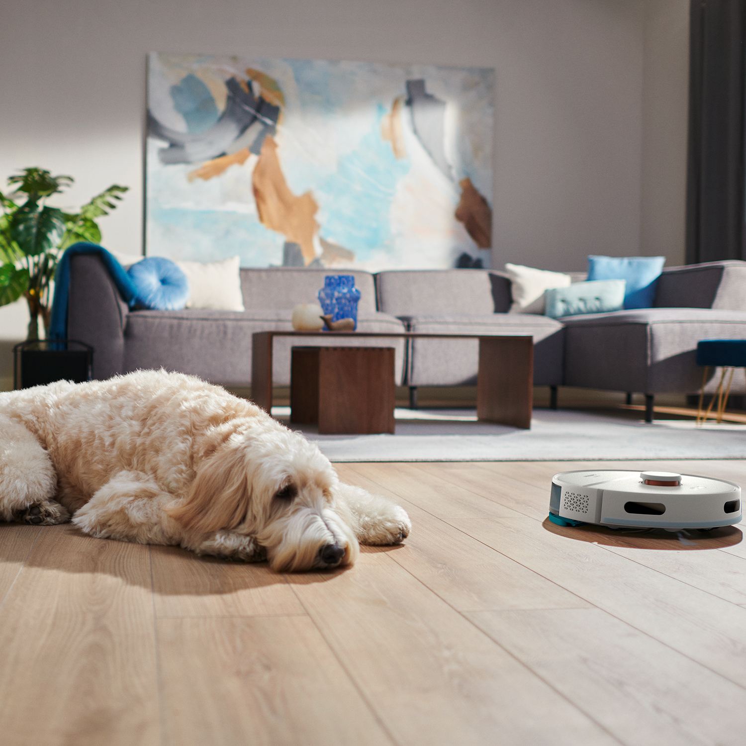 Ein Hund liegt auf dem Boden mit einem Roboter-Staubsauger in der Nähe.