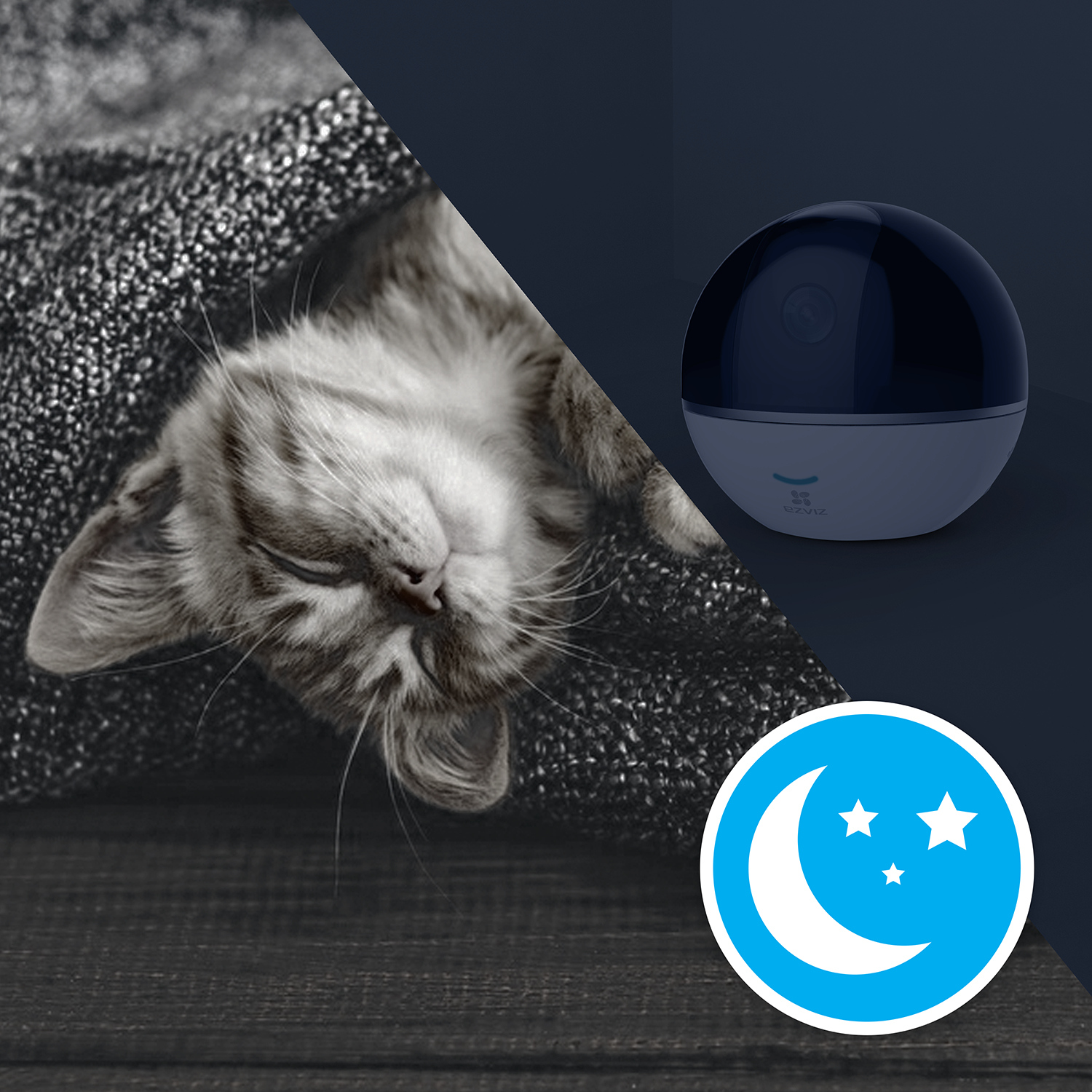 Gatto che dorme sotto una coperta. Telecamera a visione notturna con icona a mezzaluna.