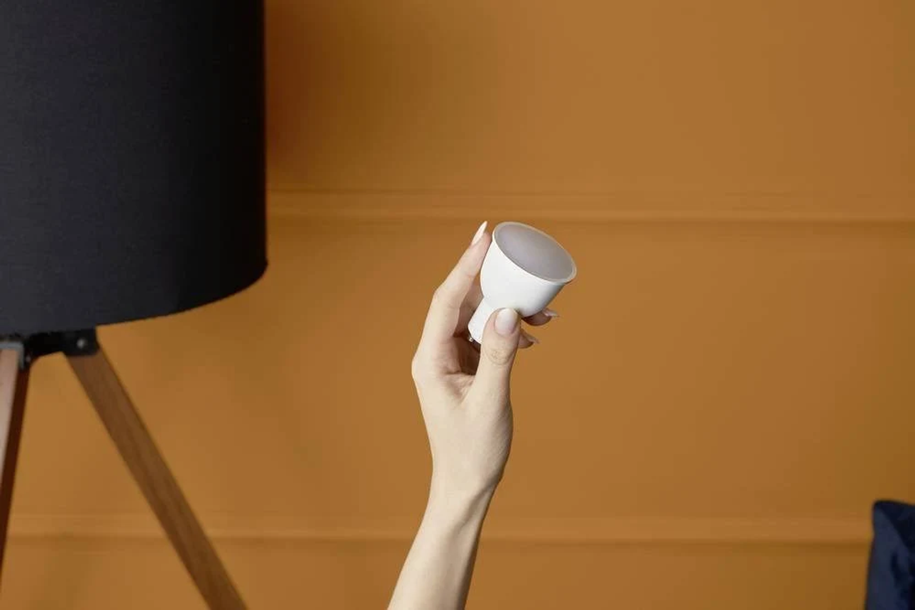 Una mano che tiene una lampadina bianca, di fronte a un muro arancione con una lampada nera.