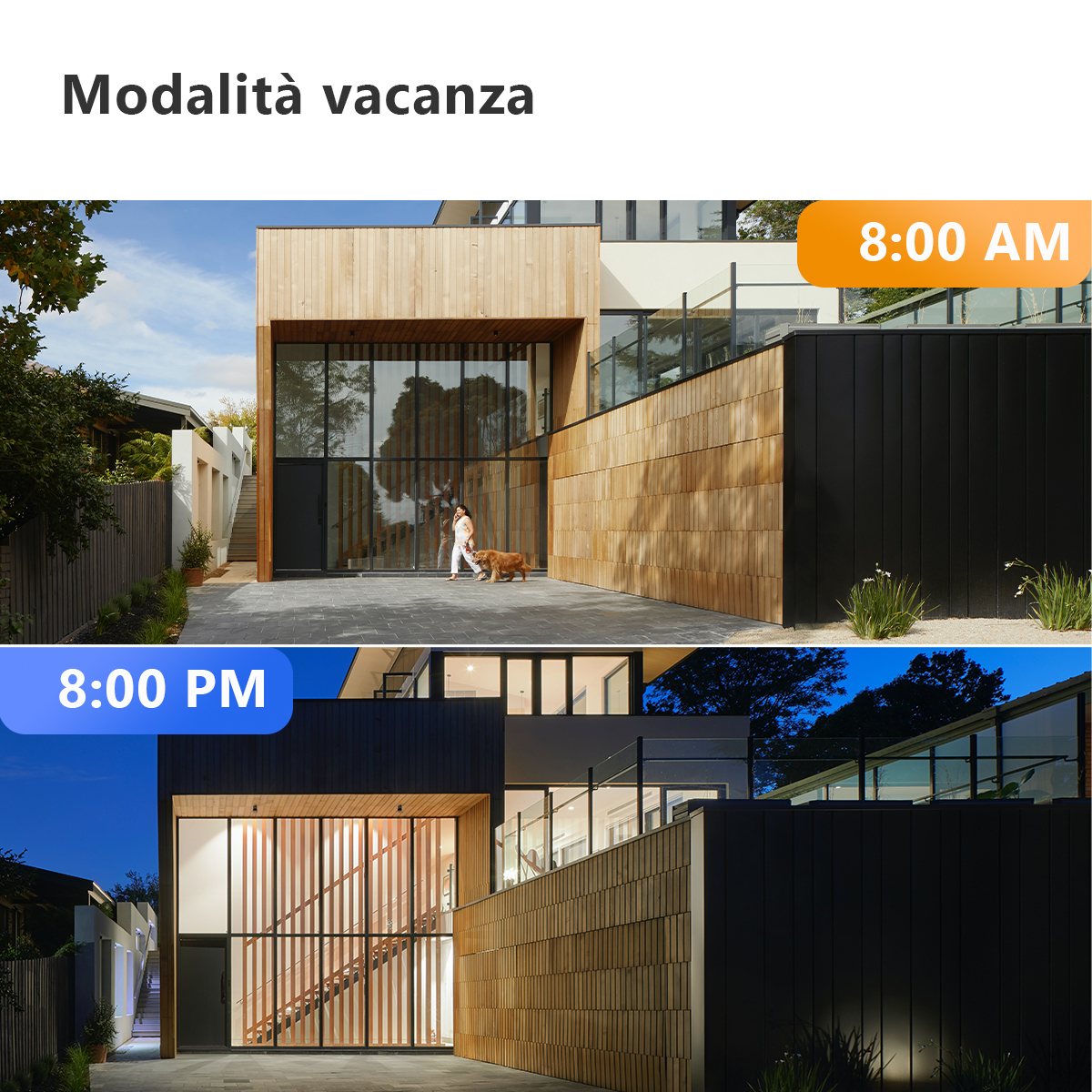 Dwa obrazy, w dzień i w nocy, nowoczesnego domu z osobą i psem.