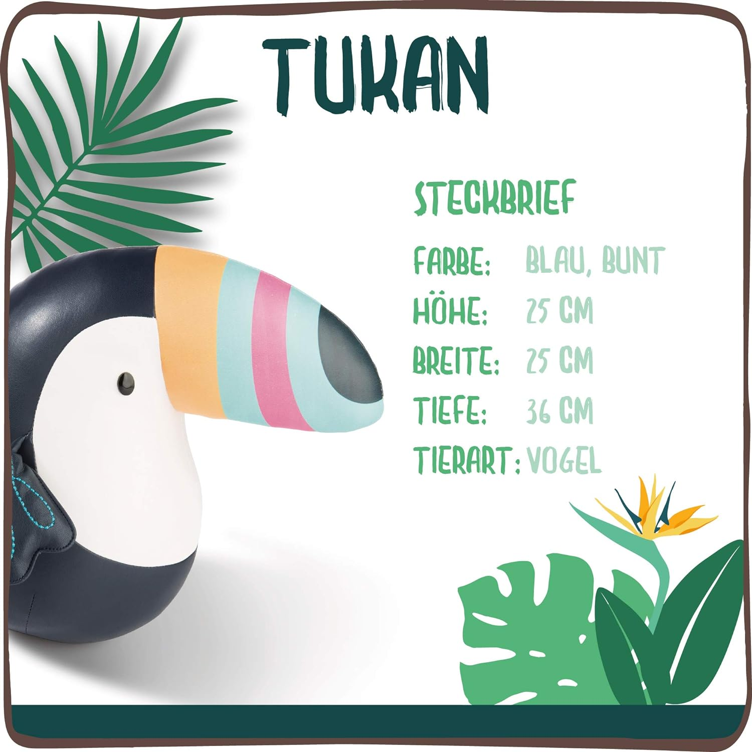 Eine Lerntafel mit einer Tukan-Illustration und deutschem Text, der die Größe und Merkmale des Vogels beschreibt.