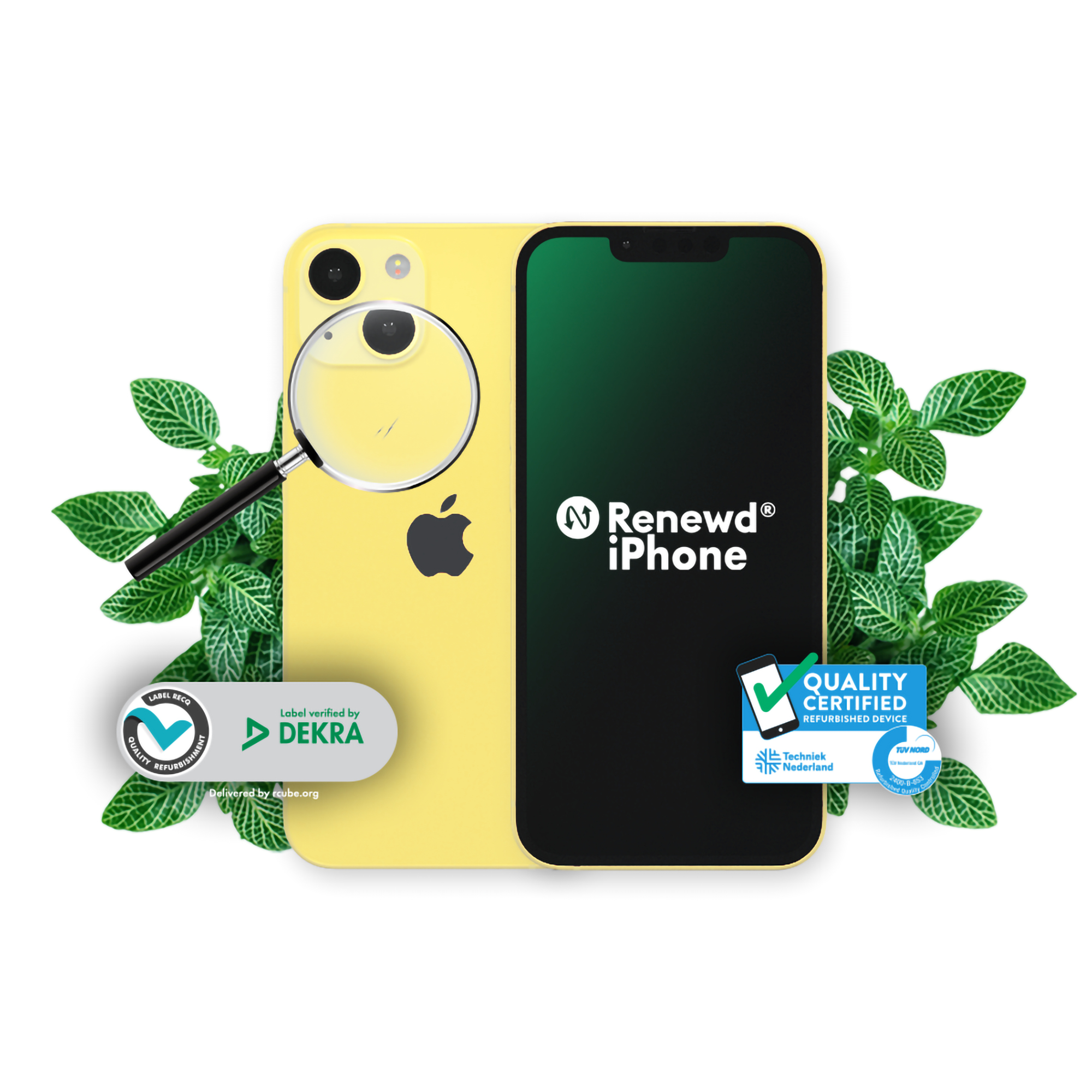 Retro iPhone giallo con lente d'ingrandimento, pianta verde e logo Renewd iPhone sullo schermo nero.