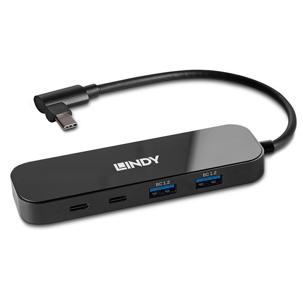 Un hub LINDY nero con porte USB e USB-C e un cavo nero con connettore USB-C.