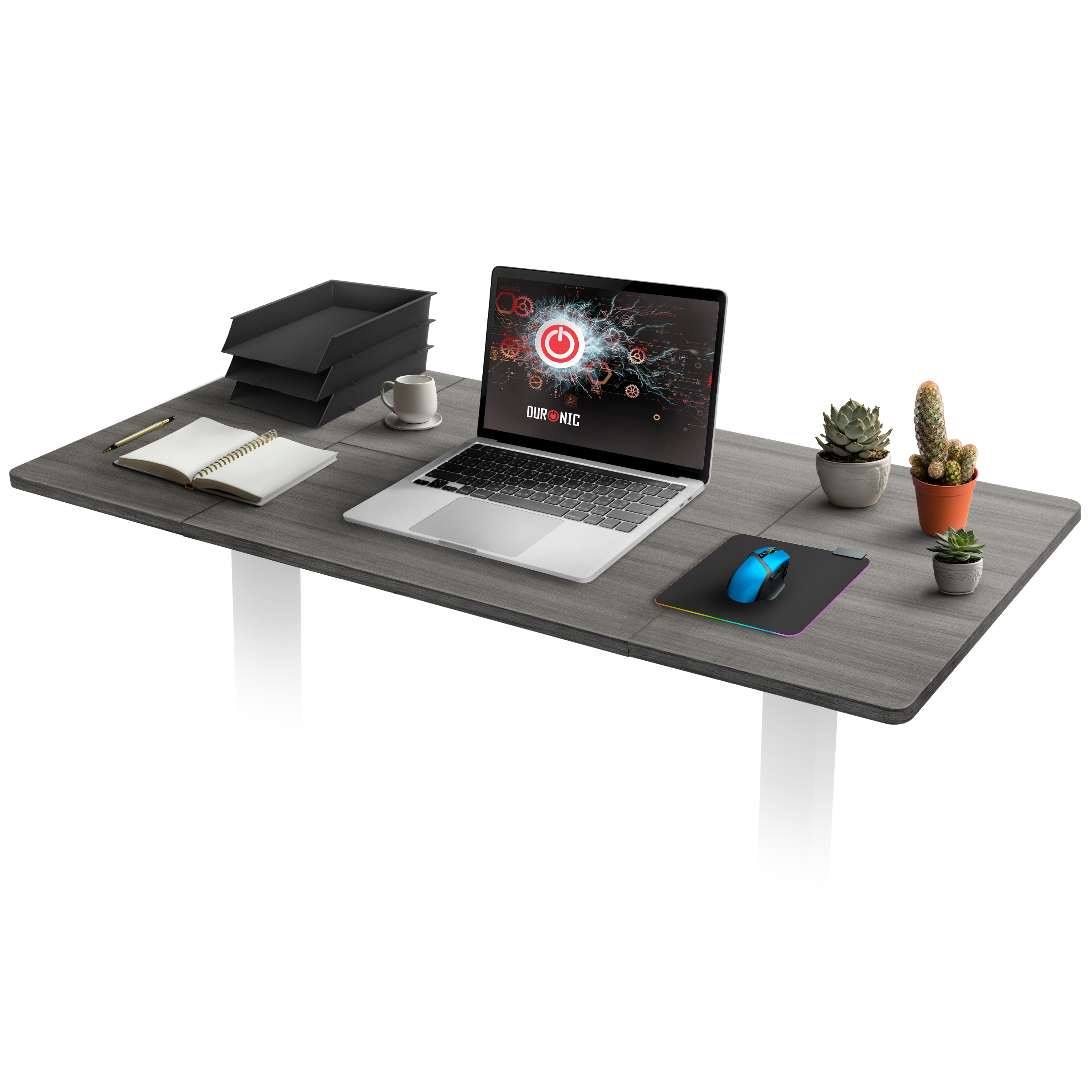 Bürotisch-Setup mit Laptop, Maus, Pflanzen, Ablagen und Notizbuch mit Stift.
