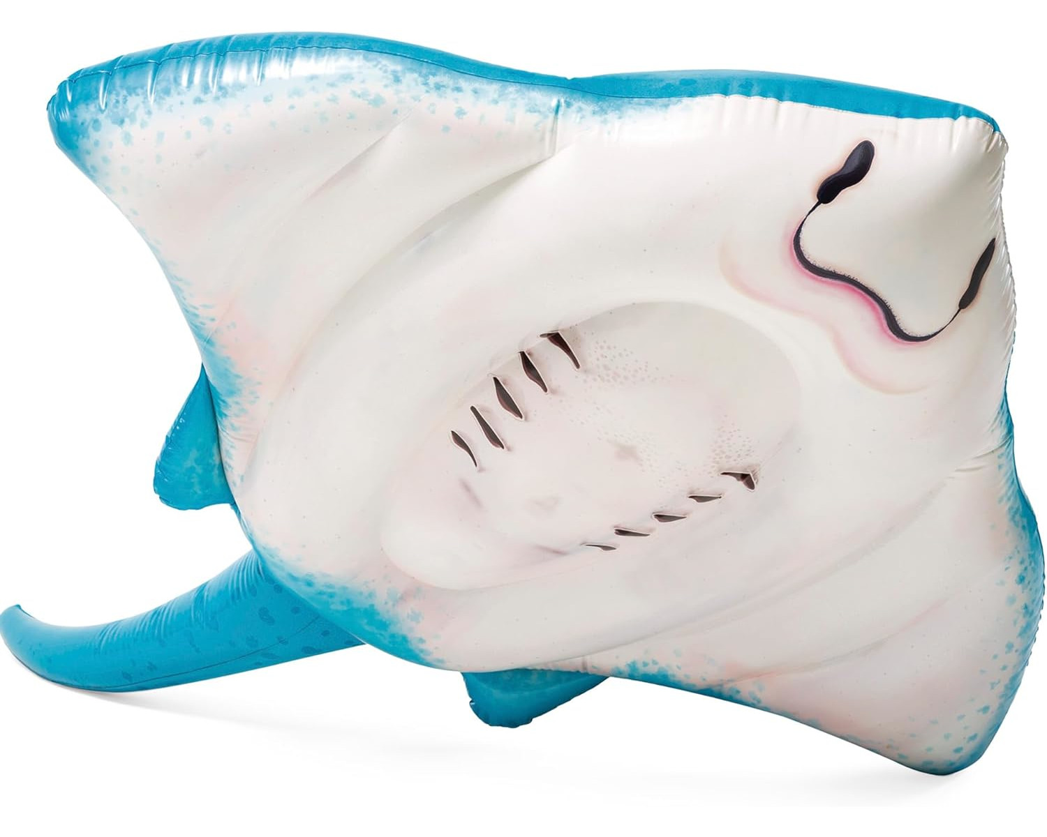 Nadmuchiwana manta, z białym brzuchem i niebieskimi skrzydłami, unosząca się na białym tle.