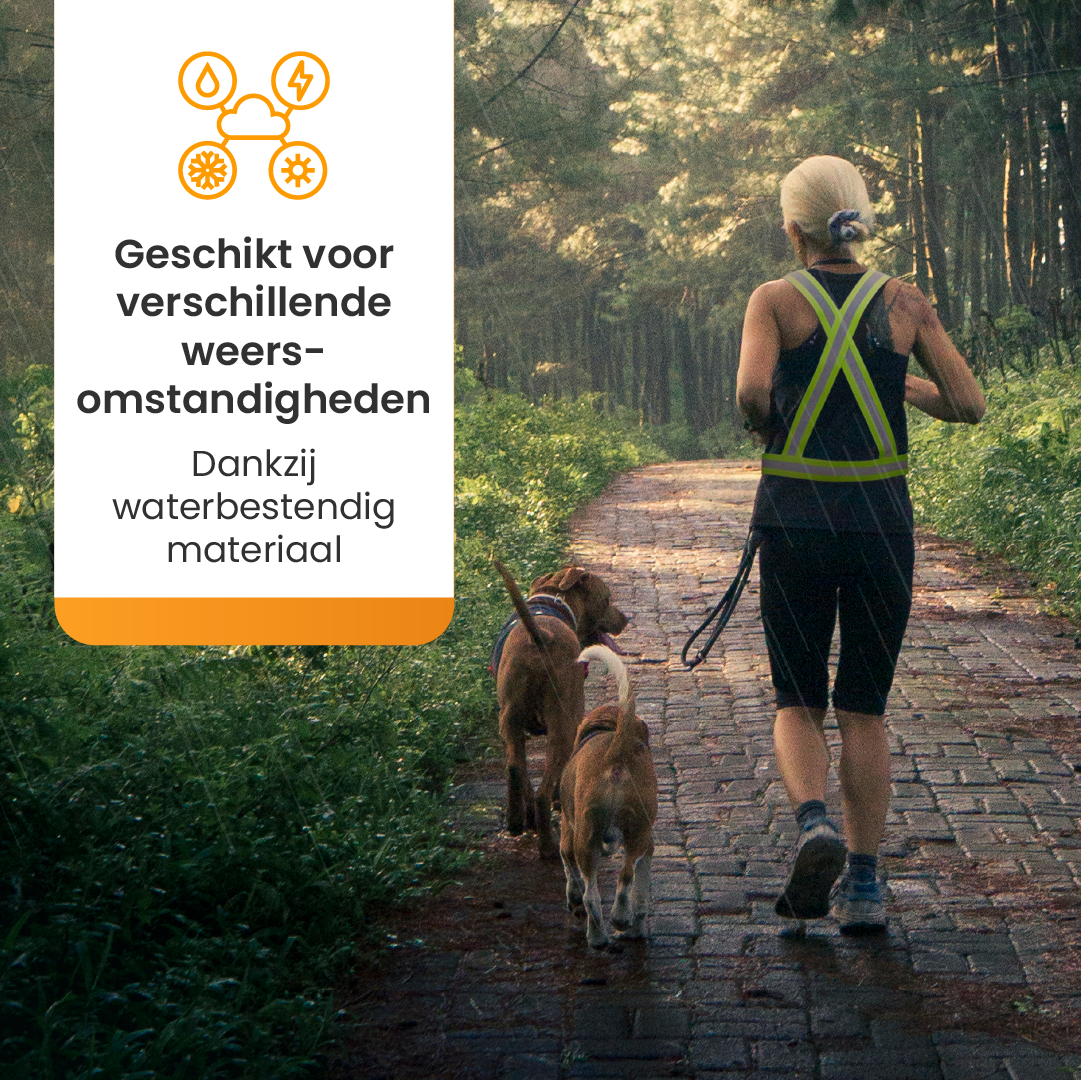 Woman running with dogs. The woman wears a reflective vest. Text about weather conditions is shown.