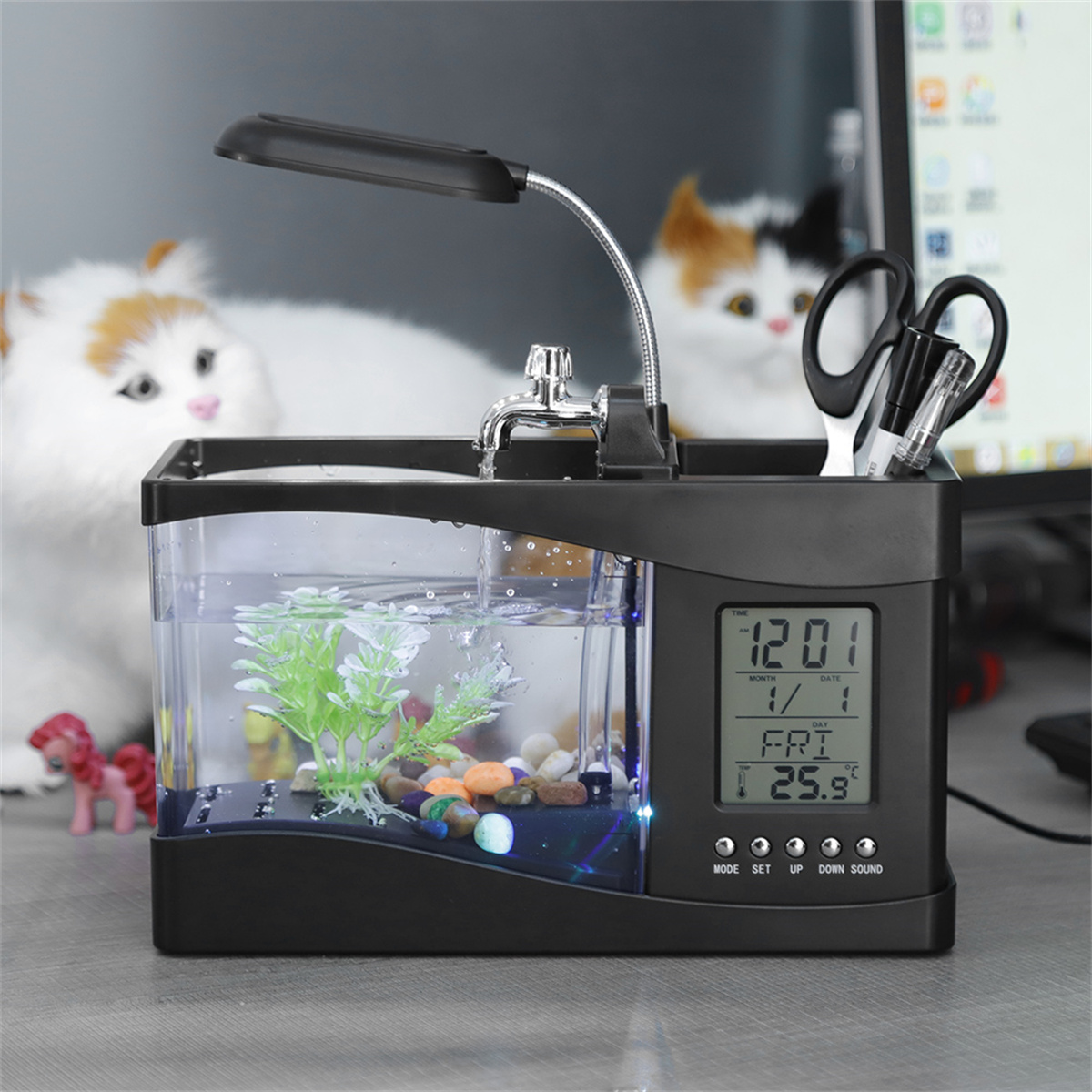 Miniatur-Aquarium mit Schreibtischzubehör, eine Katze und zwei Spielzeugkatzen im Hintergrund. Uhranzeige.