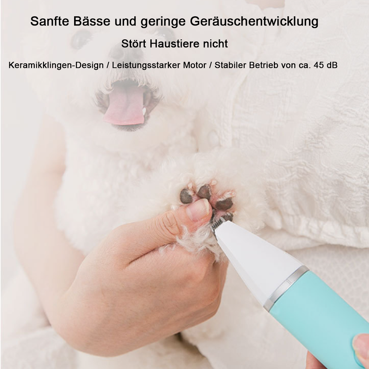 Eine Person, die die Nägel eines kleinen Hundes mit einem blau-weißen Nagelknipser schneidet.